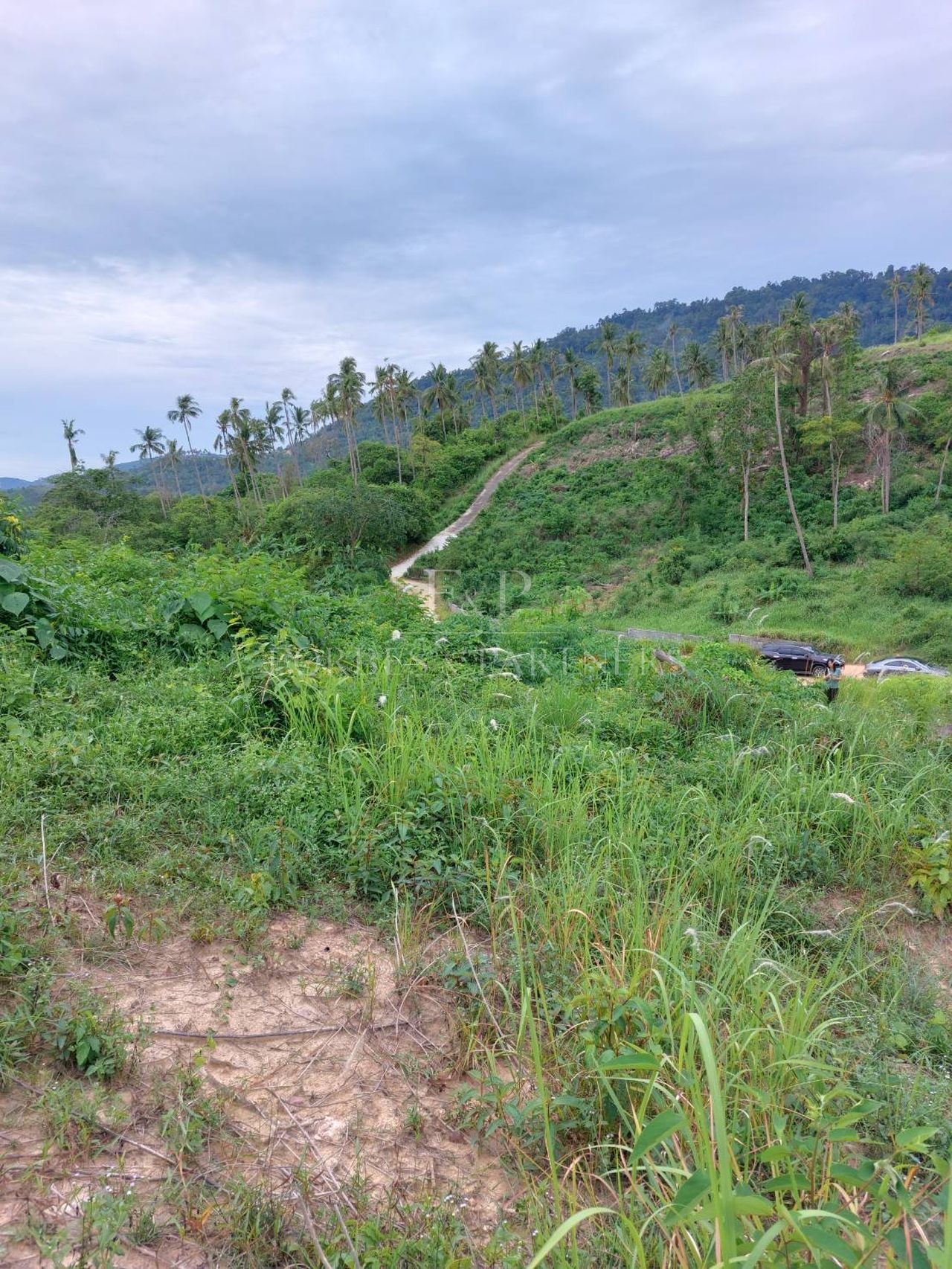 Elevated Sea View Land: 180-Degree Ocean Vistas Near Seatran Pier - Lipa Noi, Ko Samui, Thailand