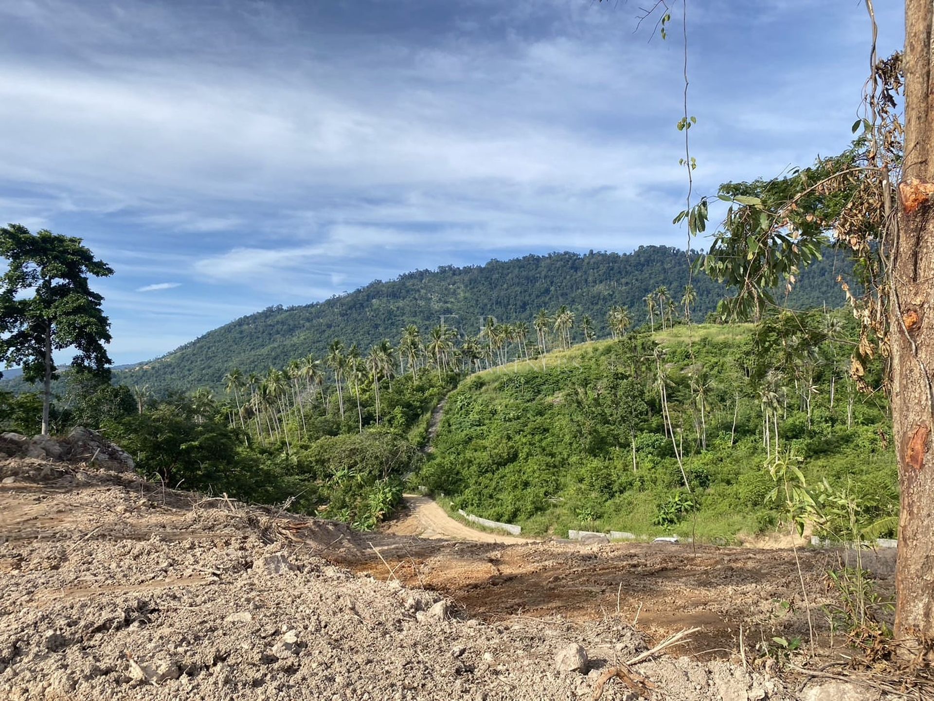 Elevated Sea View Land: 180-Degree Ocean Vistas Near Seatran Pier - Lipa Noi, Ko Samui, Thailand