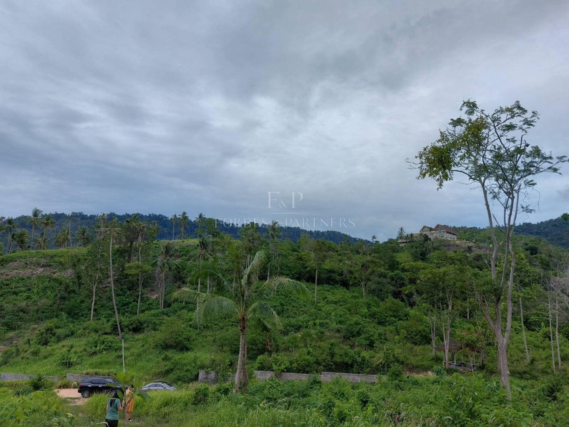 Elevated Sea View Land: 180-Degree Ocean Vistas Near Seatran Pier - Lipa Noi, Ko Samui, Thailand