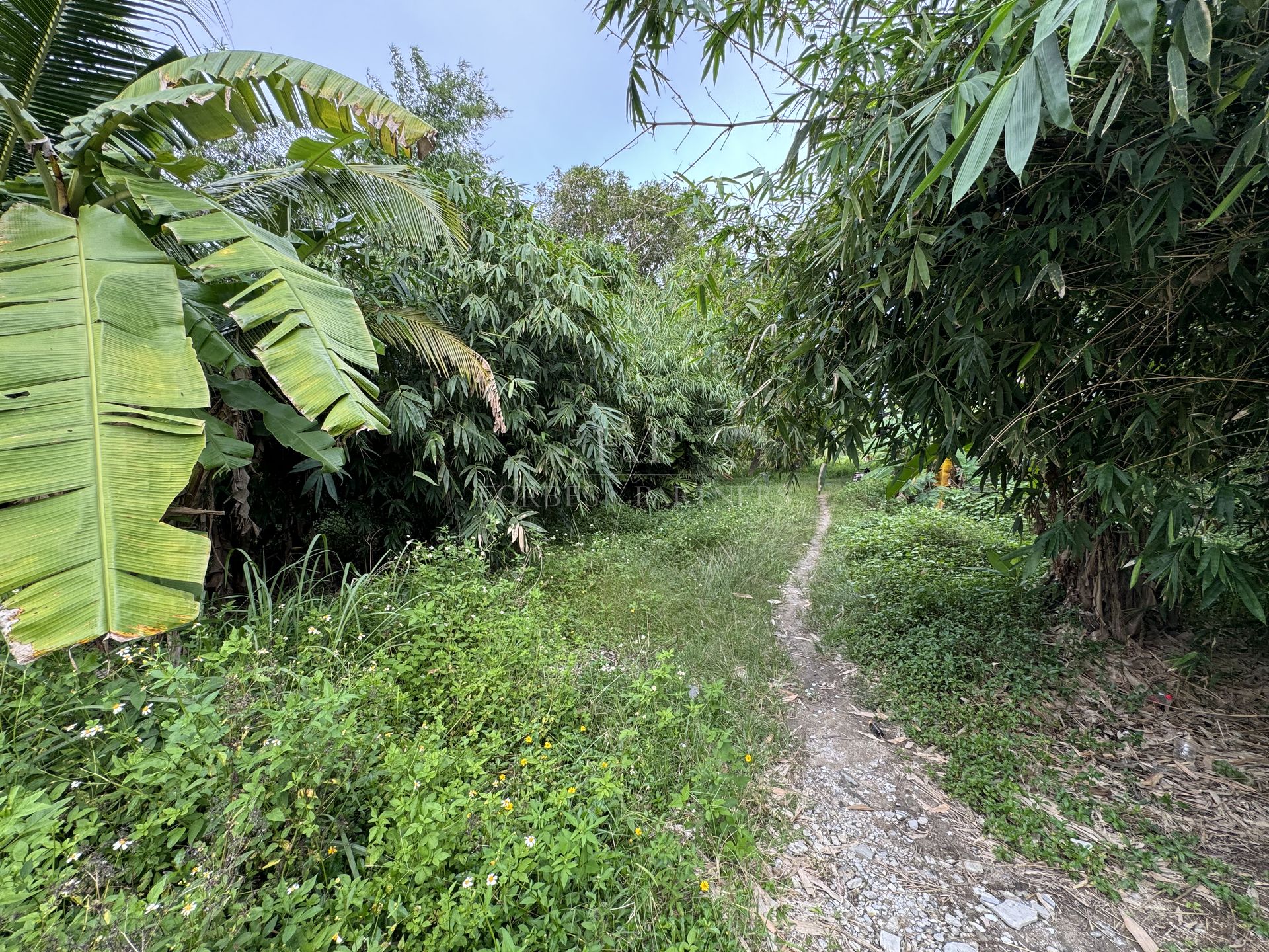 Premium Hillside Estate: 7,600 sqm in Khao Phra Heights - Bo Phut, Ko Samui, Thailand