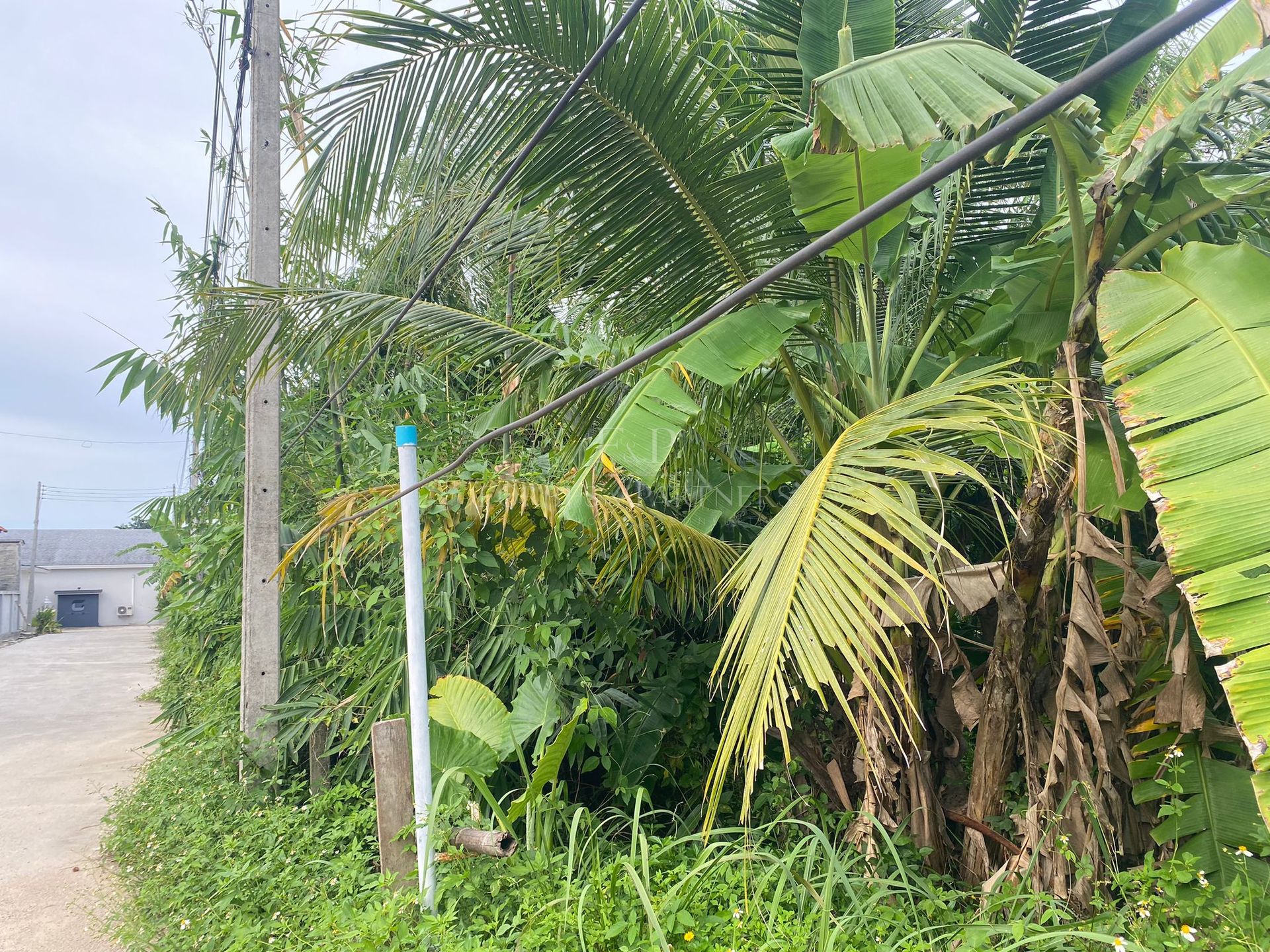 Premium Hillside Estate: 7,600 sqm in Khao Phra Heights - Bo Phut, Ko Samui, Thailand