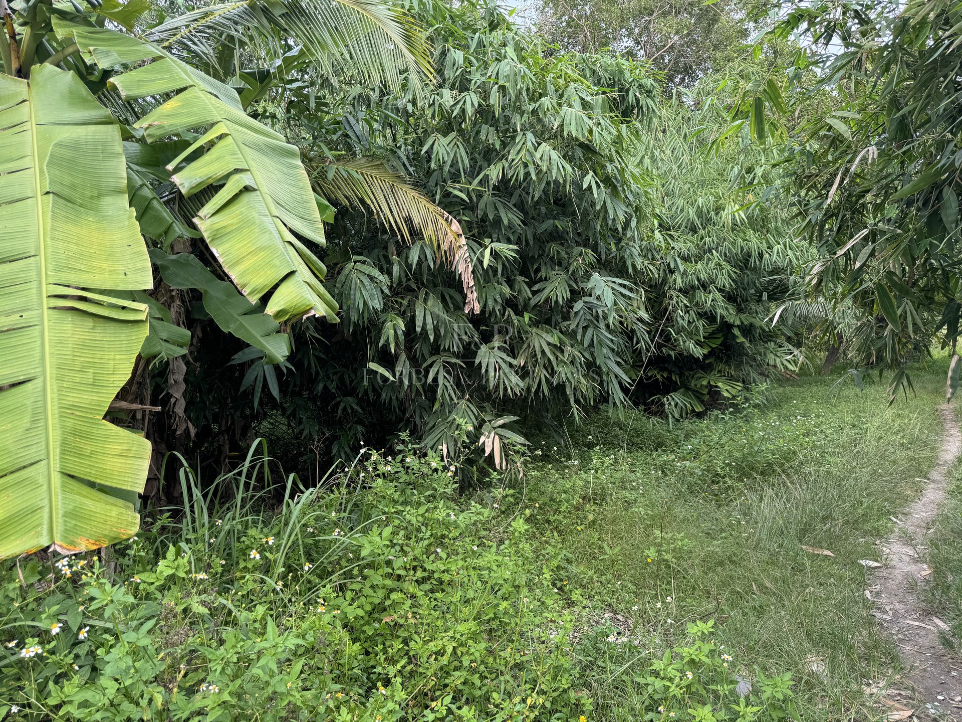 Premium Hillside Estate: 7,600 sqm in Khao Phra Heights - Bo Phut, Ko Samui, Thailand