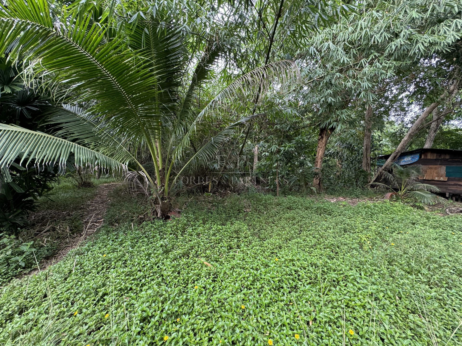 Premium Hillside Estate: 7,600 sqm in Khao Phra Heights - Bo Phut, Ko Samui, Thailand