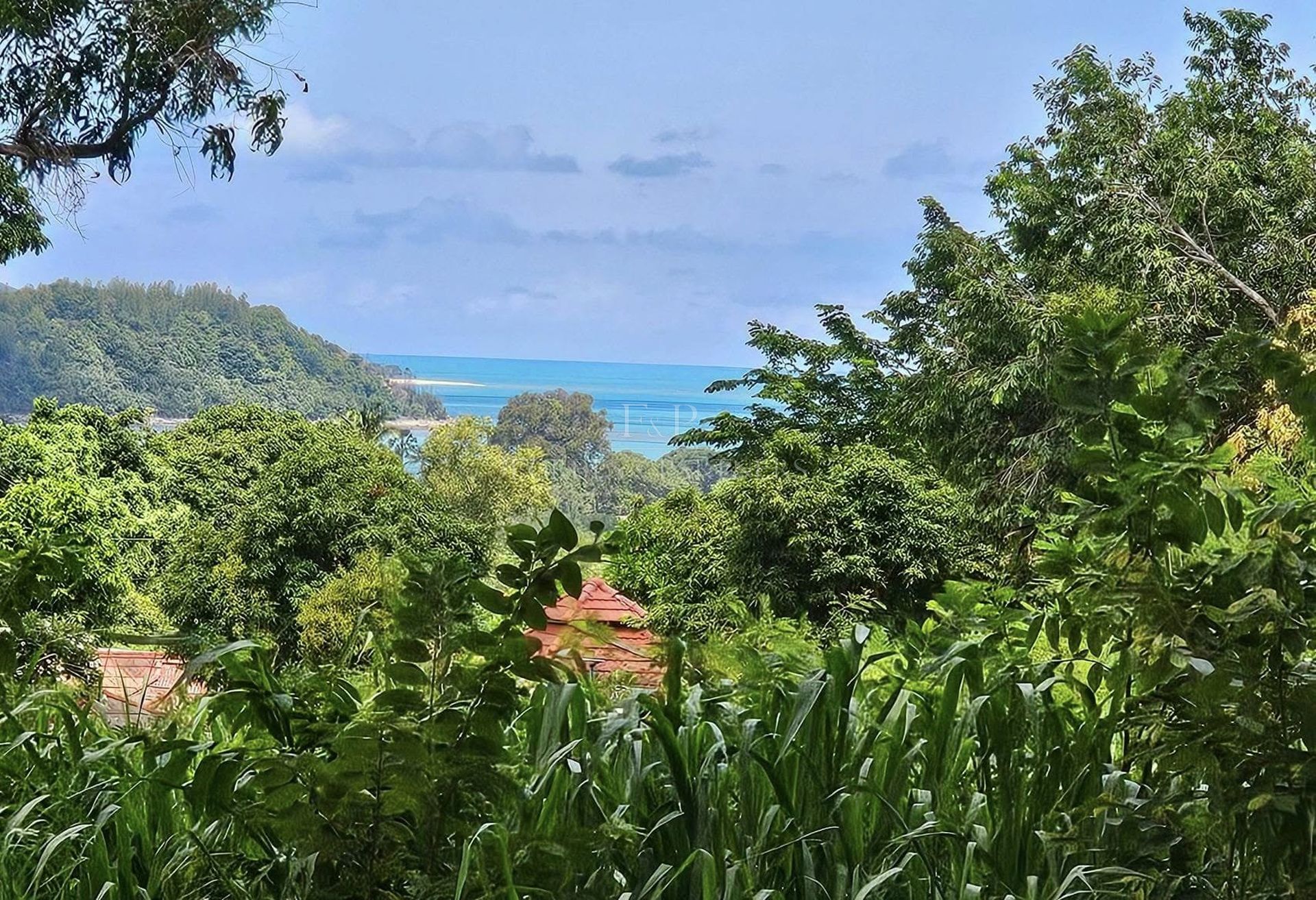 5-Rai Mountain and Sea View Land in Bang Rak, Koh Samui - Bang Rak, Ko Samui, Thailand