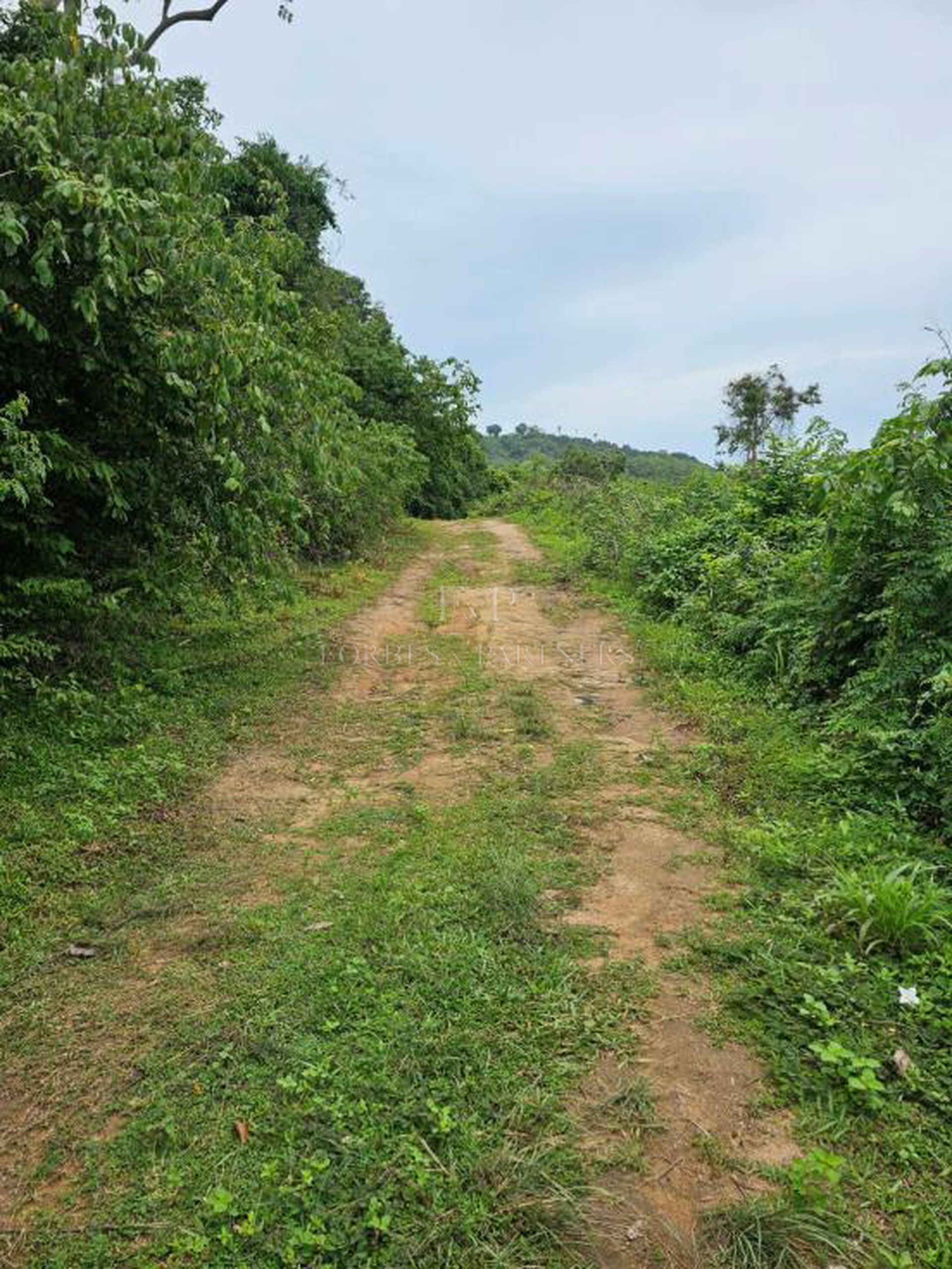 Spectacular Sea View Land for Sale in Koh Samui: A Rare Investment Opportunity - Bo Phut, Ko Samui, Thailand
