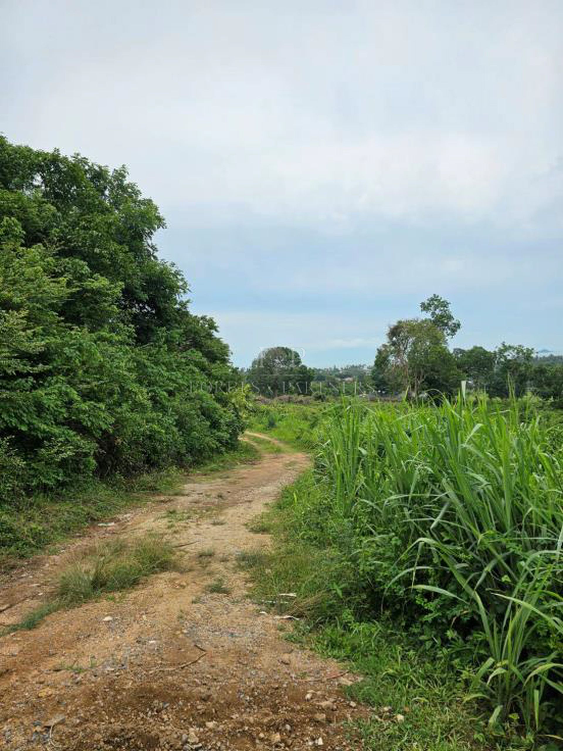 Spectacular Sea View Land for Sale in Koh Samui: A Rare Investment Opportunity - Bo Phut, Ko Samui, Thailand