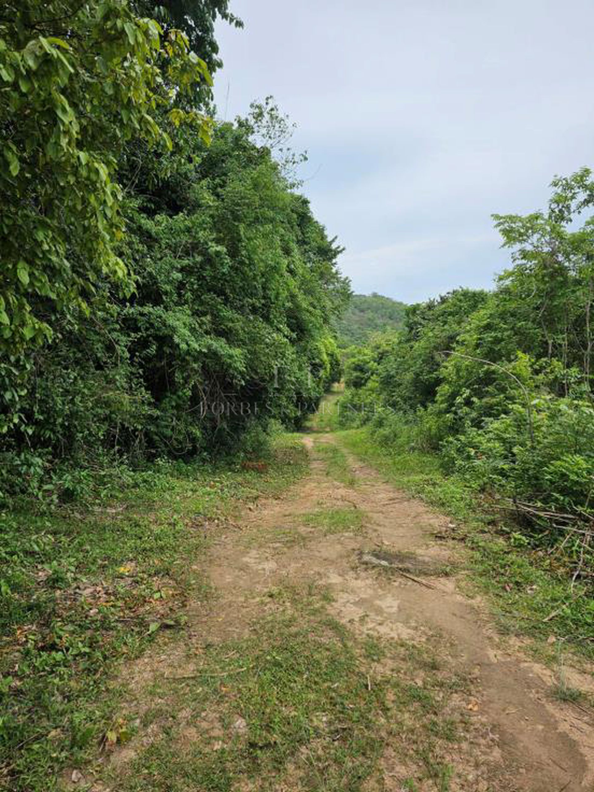 Spectacular Sea View Land for Sale in Koh Samui: A Rare Investment Opportunity - Bo Phut, Ko Samui, Thailand