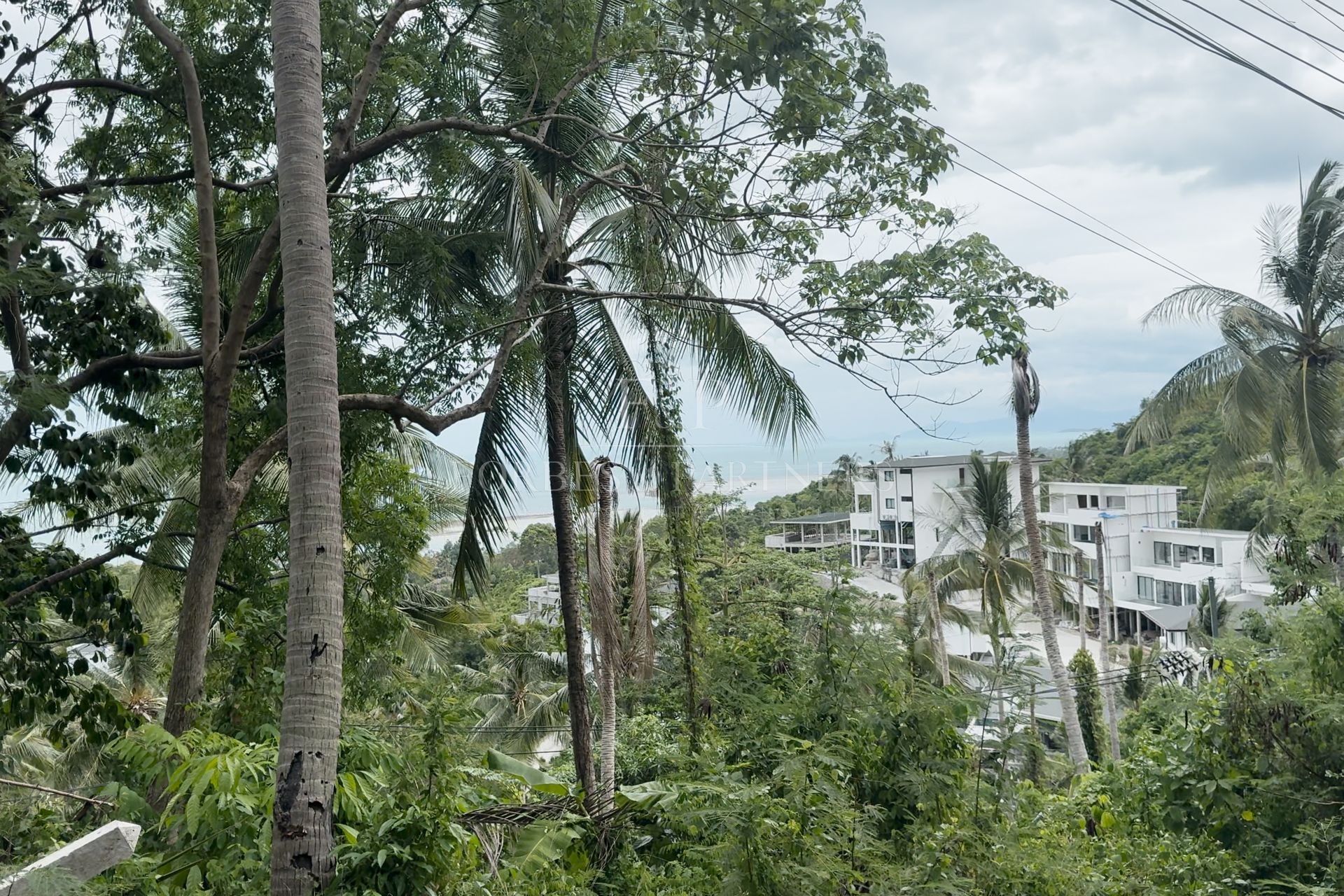 Discover a 5,200 sqm Land For Sale in Lamai: Unparalleled Potential Awaits - Lamai, Ko Samui, Thailand