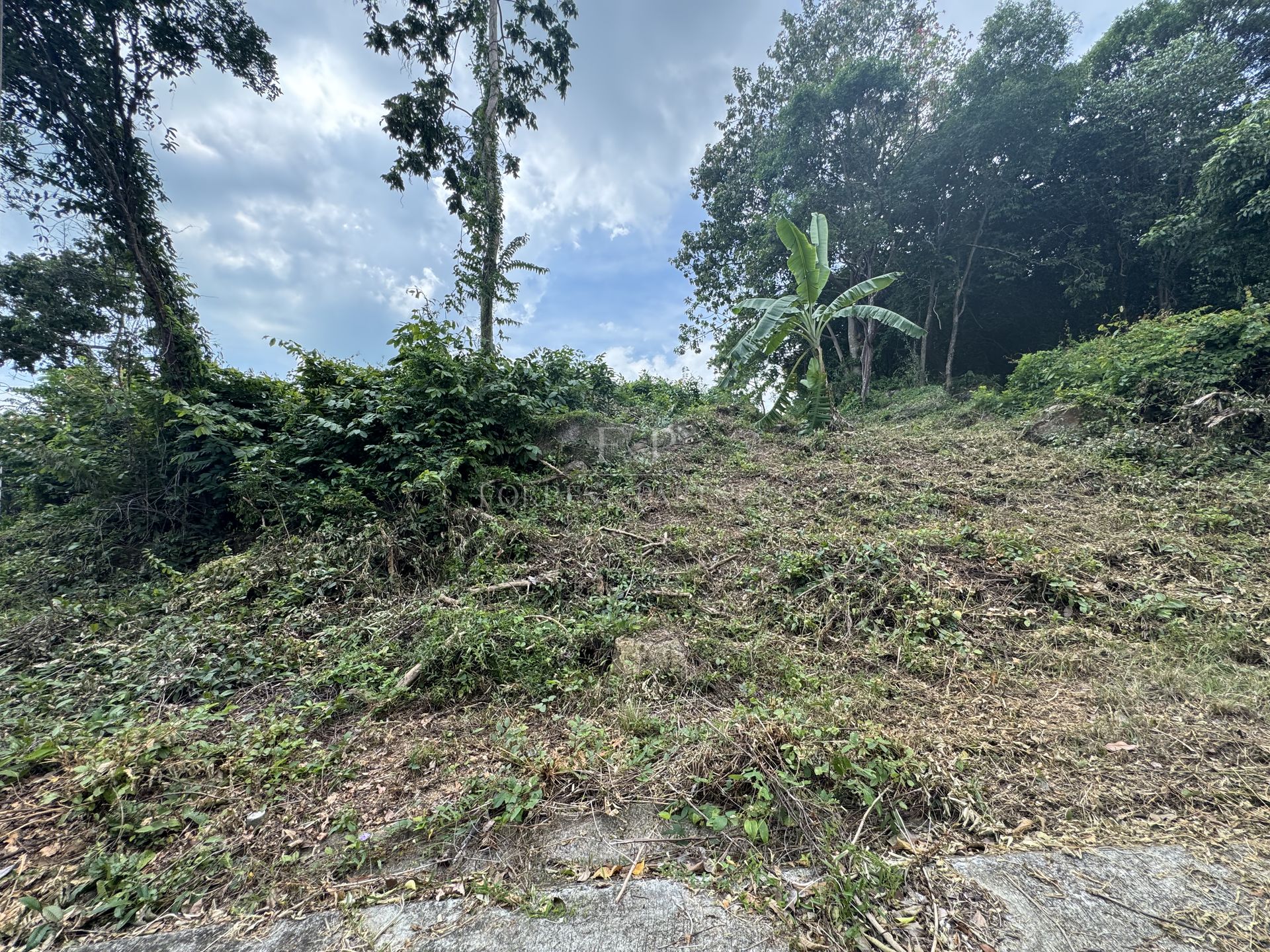 Development Land 1036 SQM for Sale in Lamai, Koh Samui - Lamai, Ko Samui, Thailand