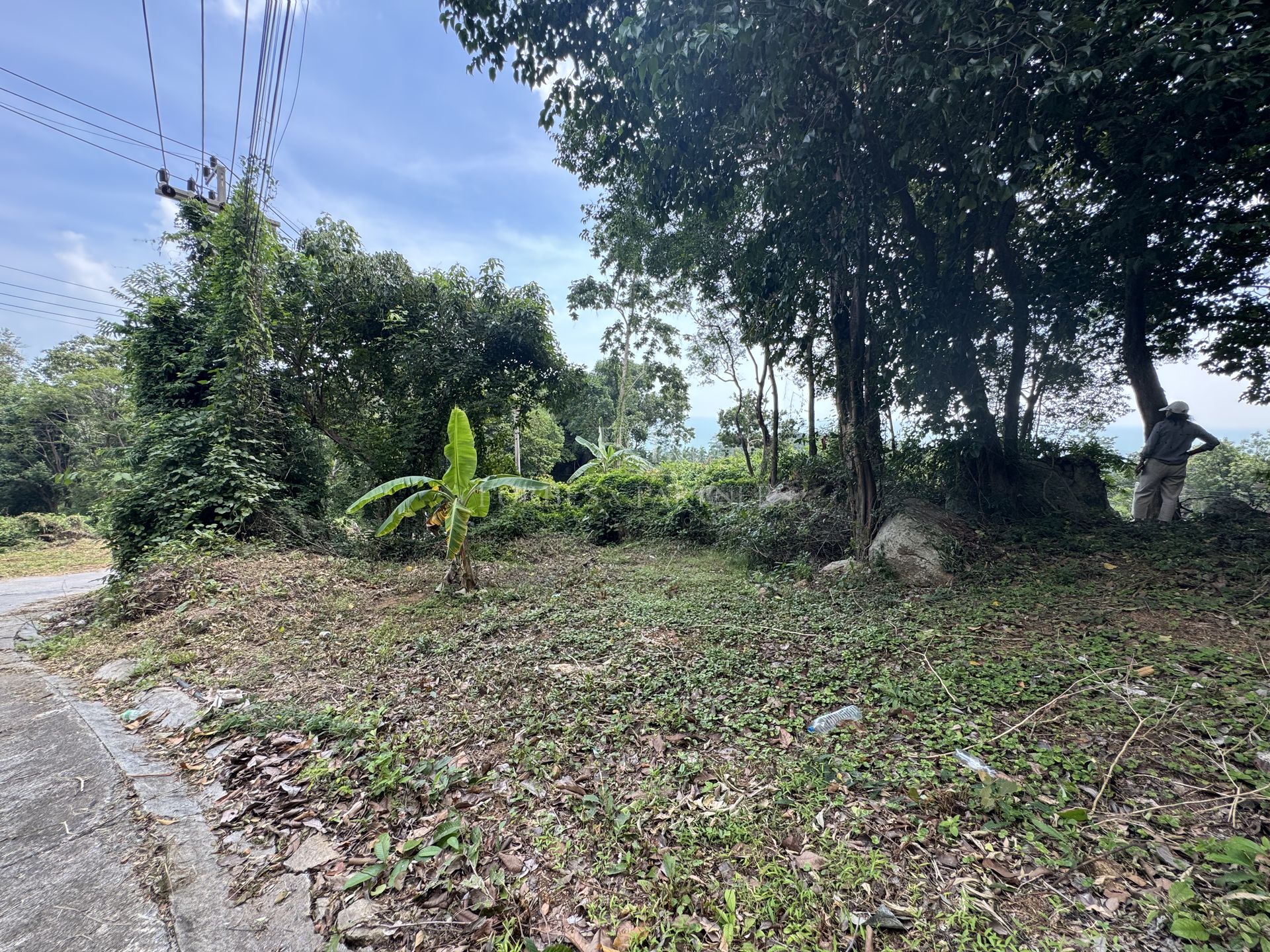 Development Land 1036 SQM for Sale in Lamai, Koh Samui - Lamai, Ko Samui, Thailand