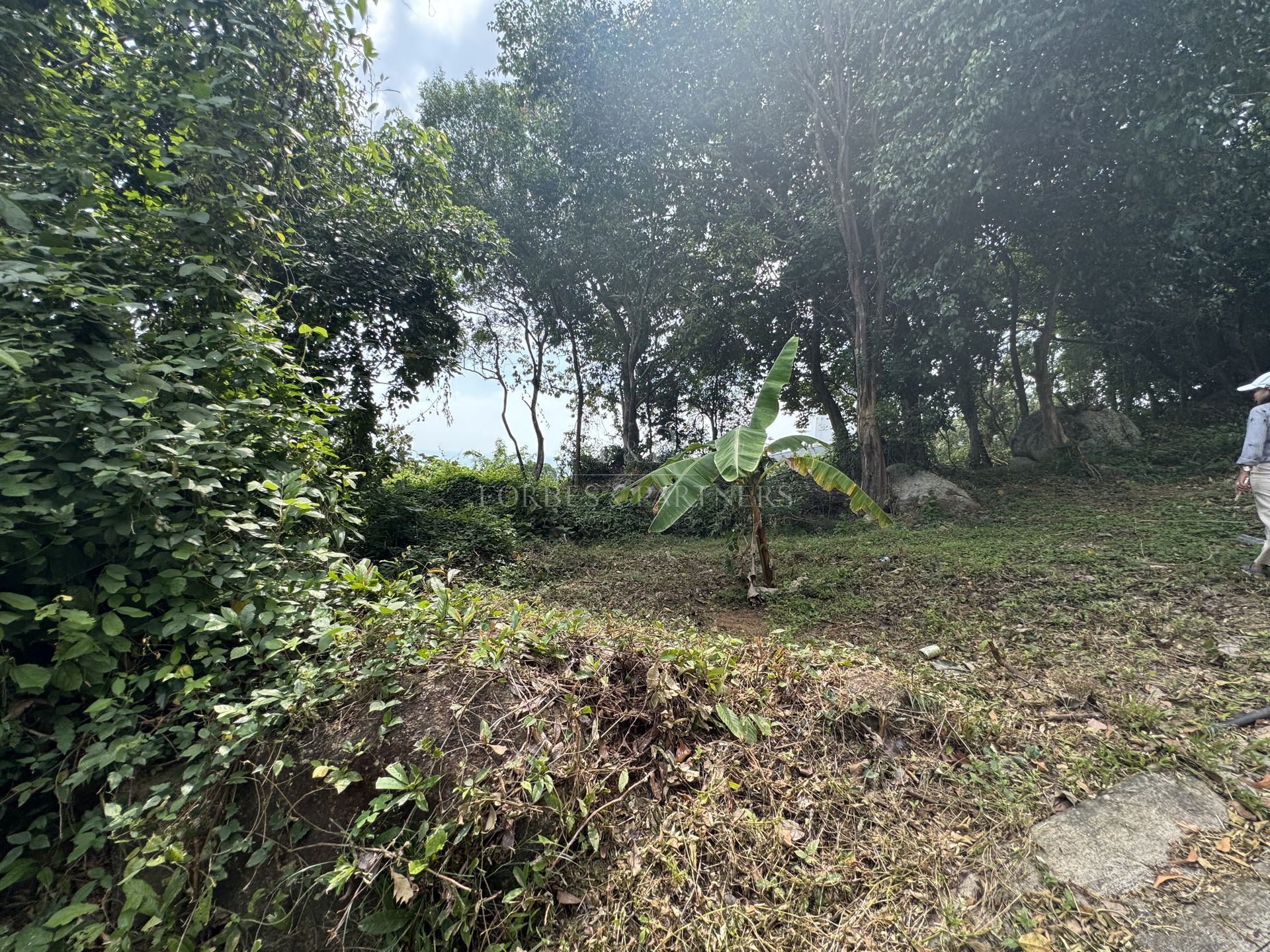 Development Land 1036 SQM for Sale in Lamai, Koh Samui - Lamai, Ko Samui, Thailand