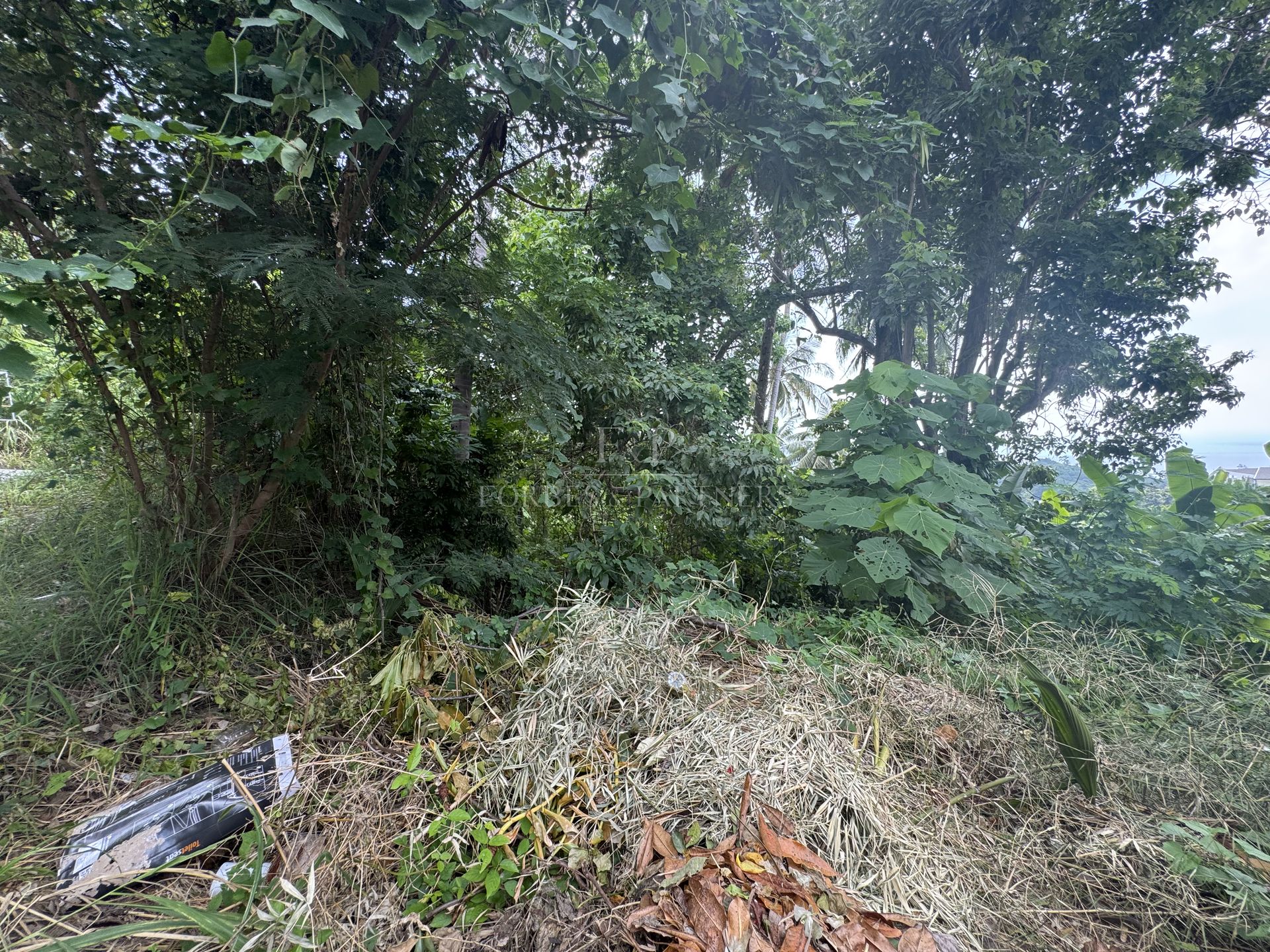 Development Land 1036 SQM for Sale in Lamai, Koh Samui - Lamai, Ko Samui, Thailand