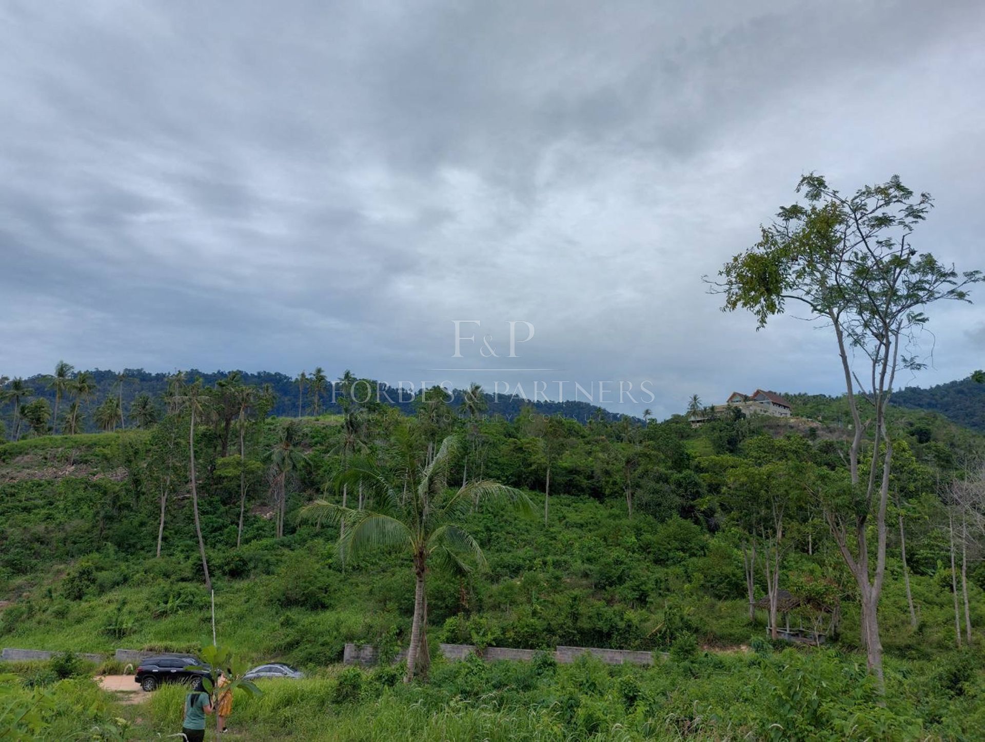 Prime Hillside Land for Sale – 10,532 sqm with Sea Views in Lipa Noi - Lipa Noi, Ko Samui, Thailand