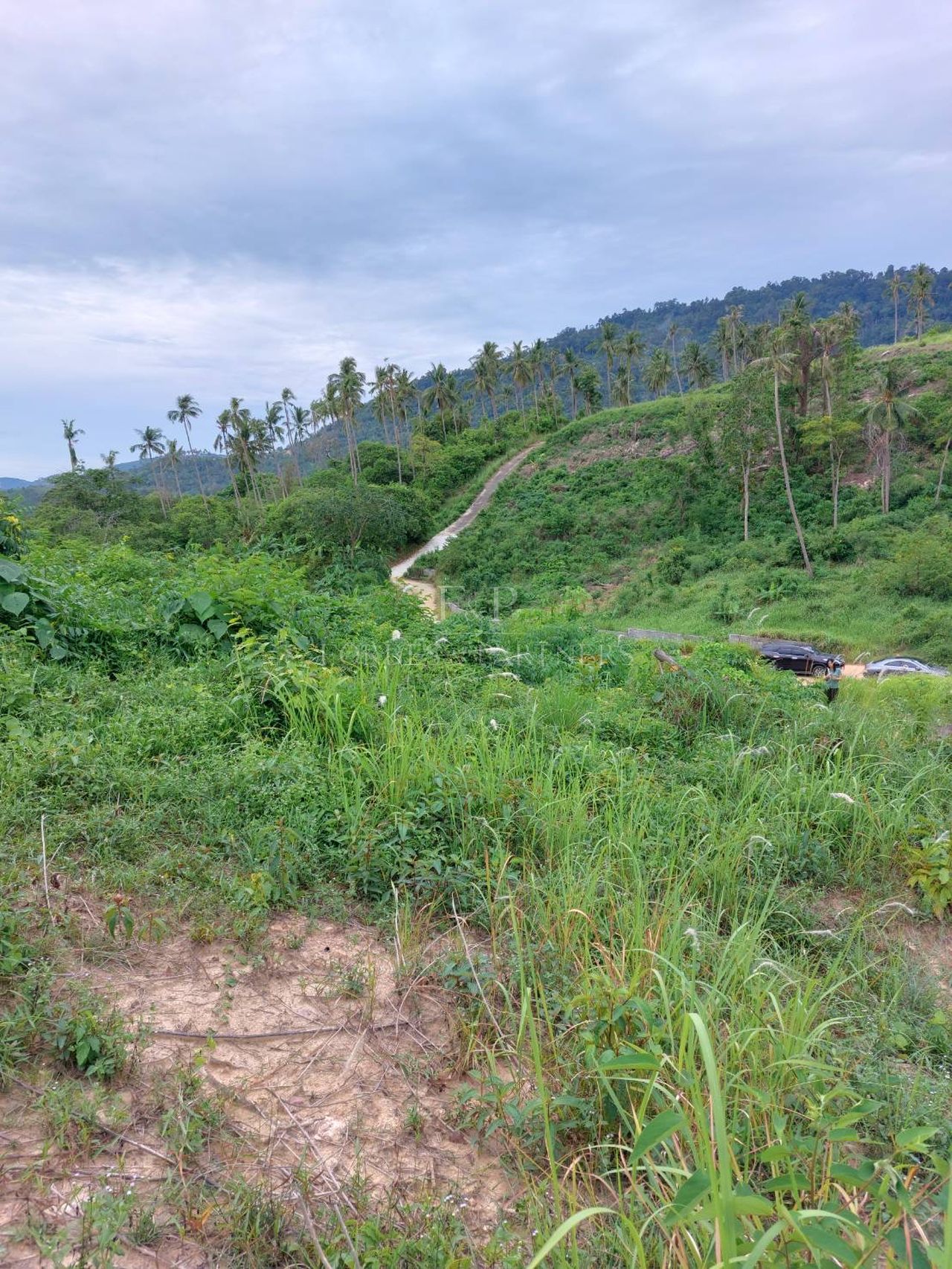 Prime Hillside Land for Sale – 10,532 sqm with Sea Views in Lipa Noi - Lipa Noi, Ko Samui, Thailand