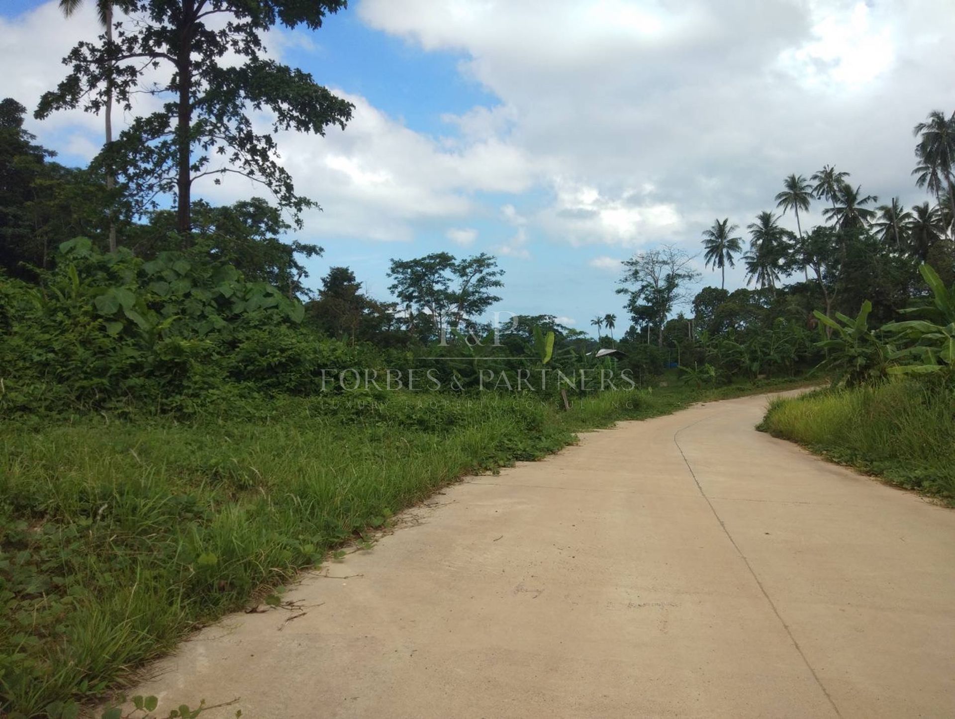 Prime Hillside Land for Sale – 10,532 sqm with Sea Views in Lipa Noi - Lipa Noi, Ko Samui, Thailand