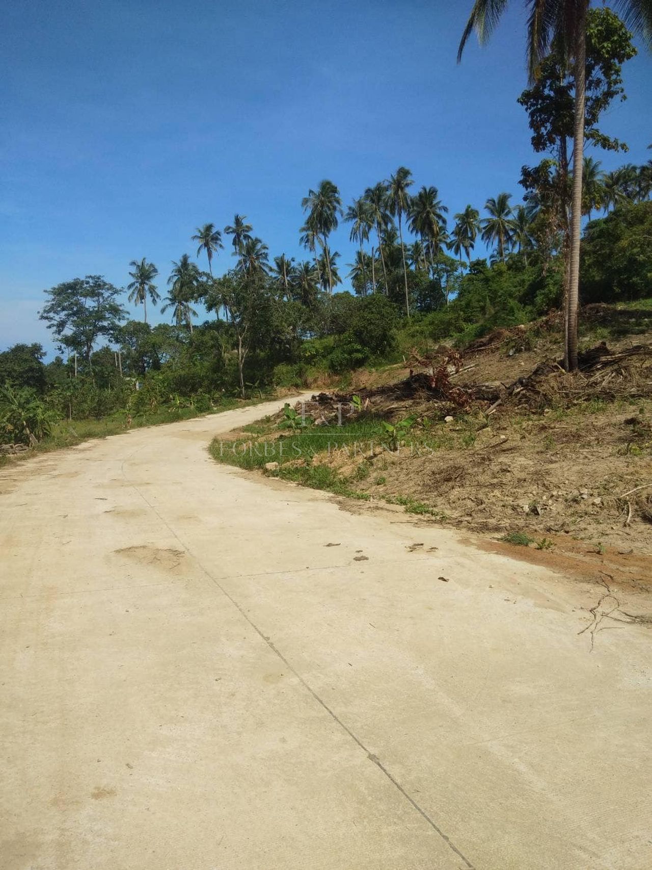 Prime Hillside Land for Sale – 10,532 sqm with Sea Views in Lipa Noi - Lipa Noi, Ko Samui, Thailand
