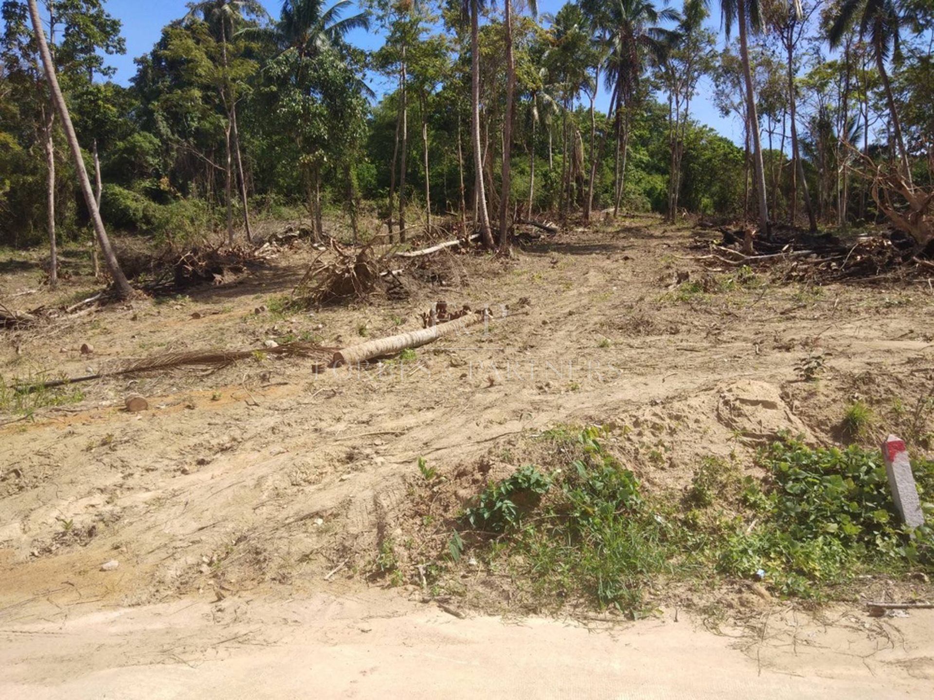 Prime Hillside Land for Sale – 10,532 sqm with Sea Views in Lipa Noi - Lipa Noi, Ko Samui, Thailand