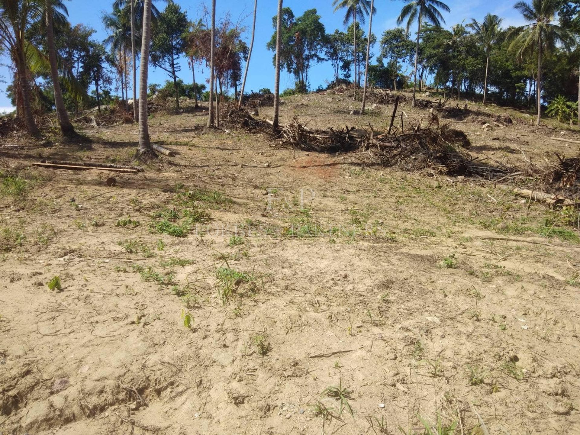 Prime Hillside Land for Sale – 10,532 sqm with Sea Views in Lipa Noi - Lipa Noi, Ko Samui, Thailand