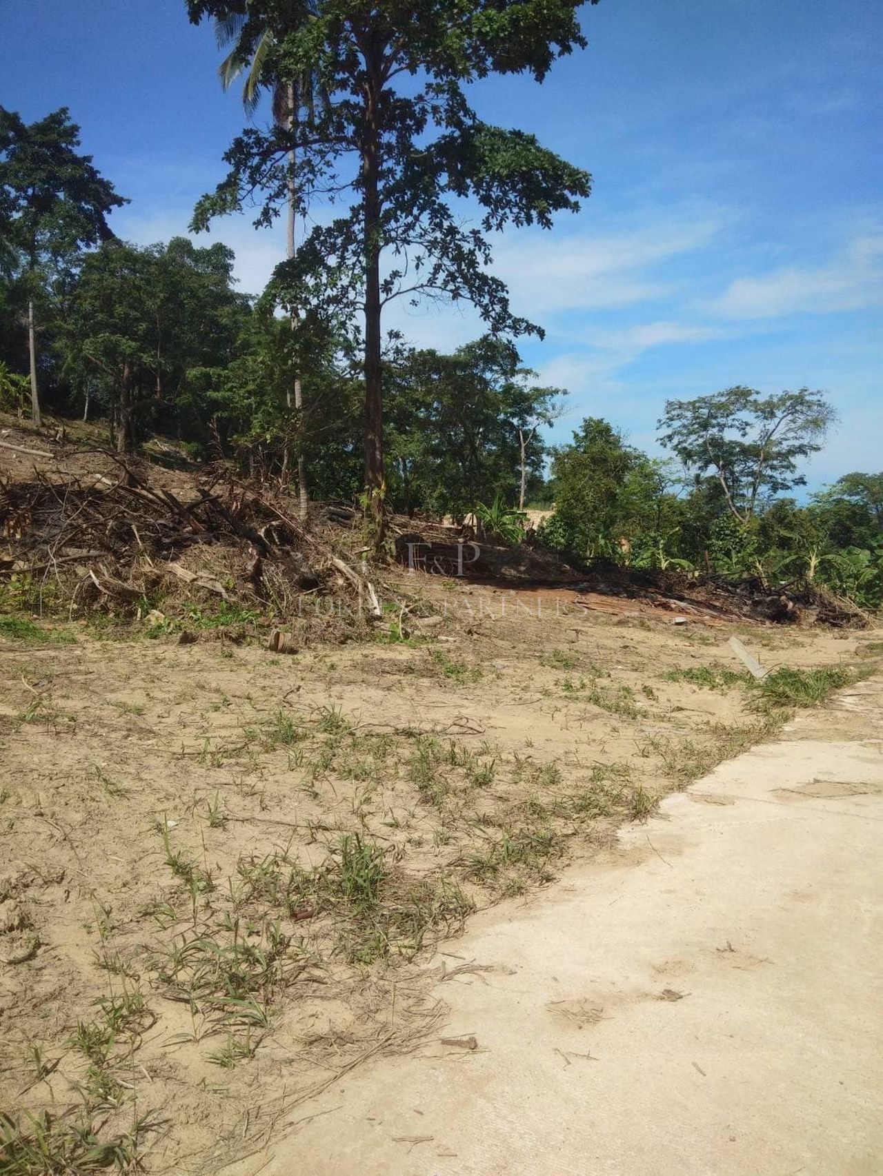 Prime Hillside Land for Sale – 10,532 sqm with Sea Views in Lipa Noi - Lipa Noi, Ko Samui, Thailand