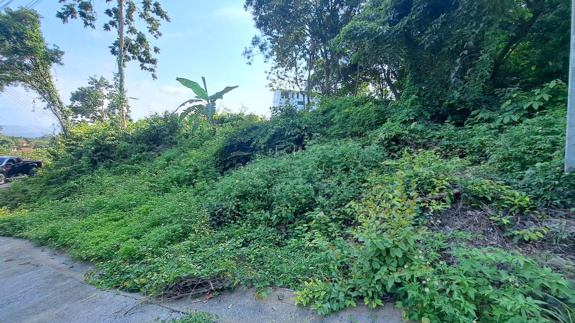Premium 1036 SQM Sea View Land for Sale in Lamai, Koh Samui - Lamai, Ko Samui, Thailand