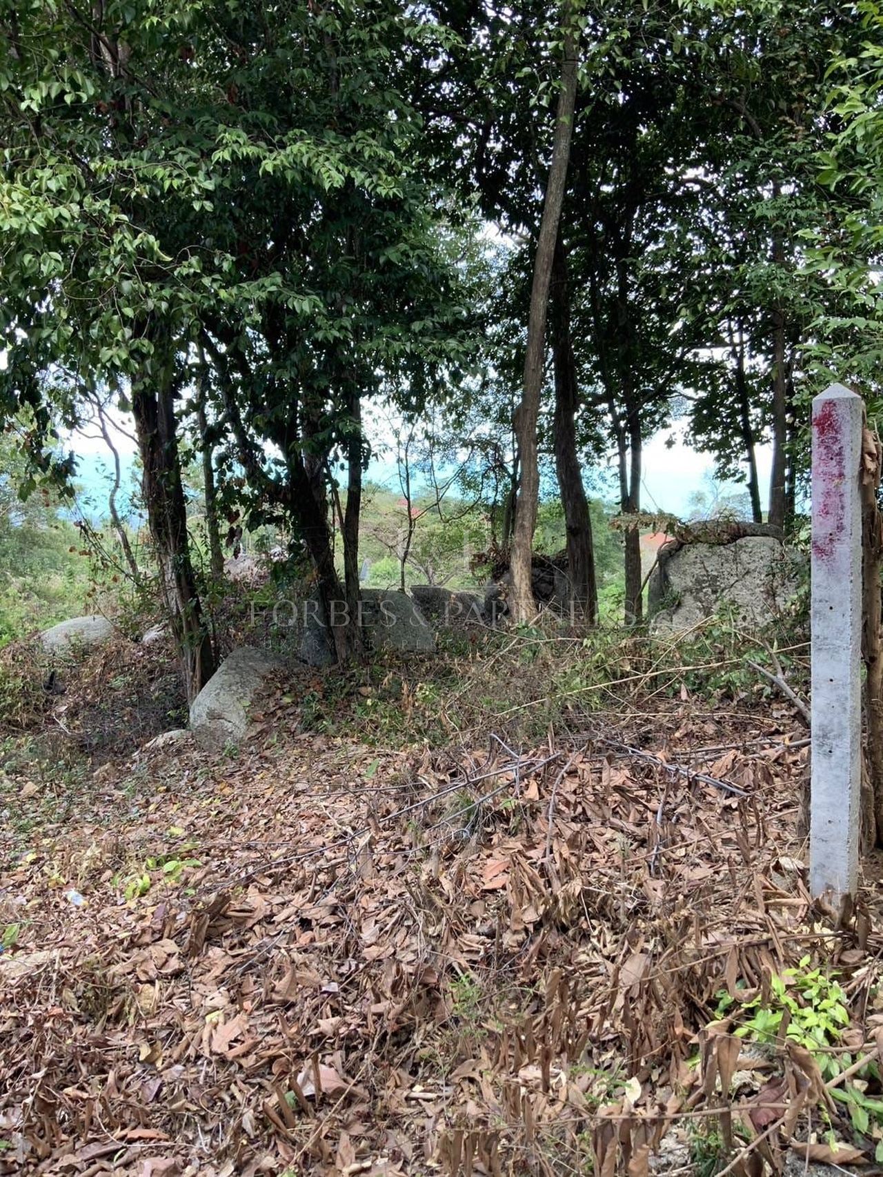Premium 1036 SQM Sea View Land for Sale in Lamai, Koh Samui - Lamai, Ko Samui, Thailand
