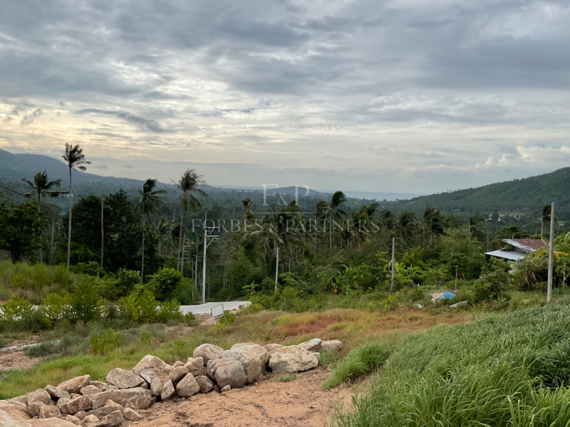 Exceptional Opportunity: Prime 1 Rai Land in Maenam Soi 1, Koh Samui - Maenam, Ko Samui, Thailand