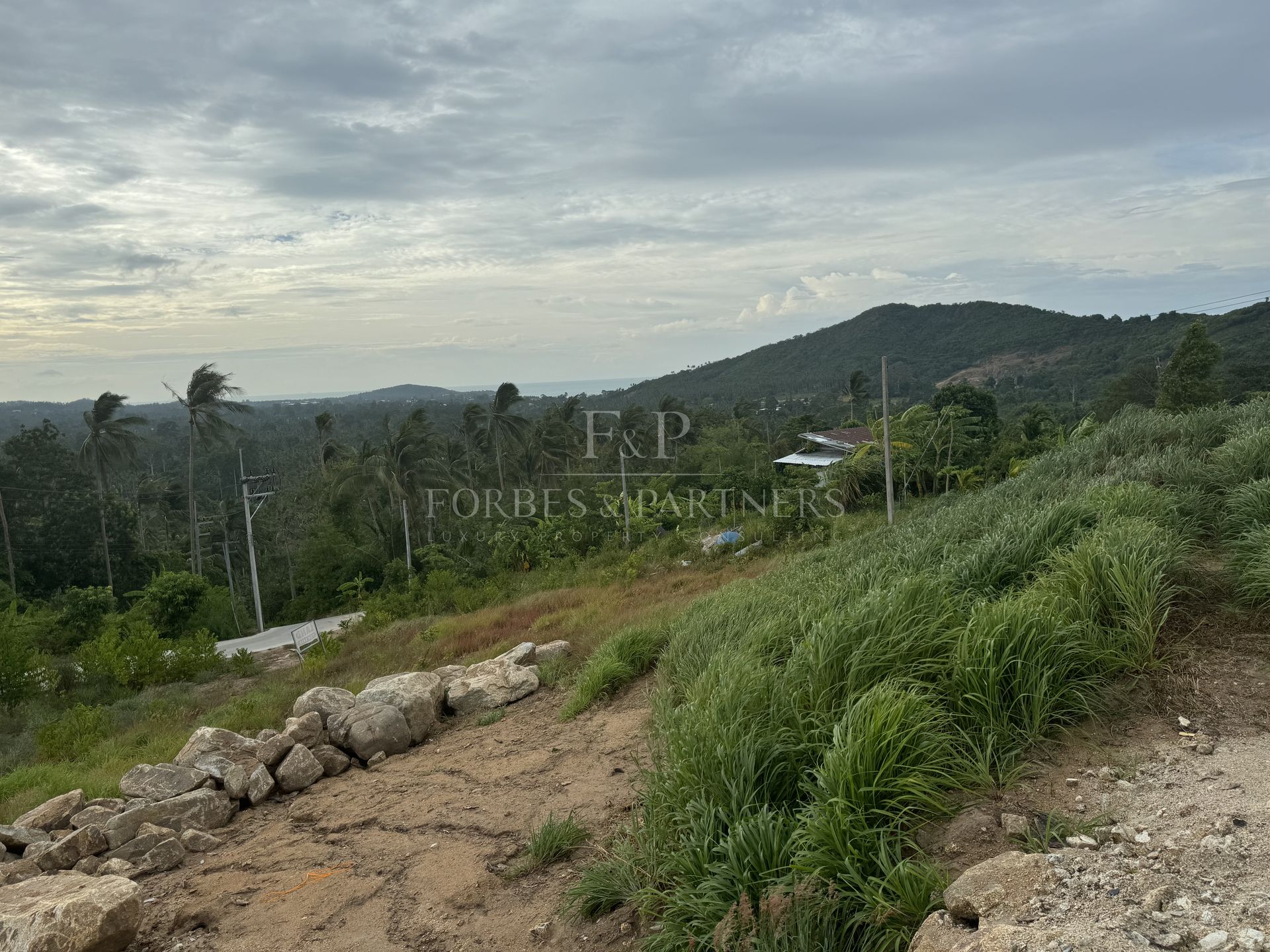 Exceptional Opportunity: Prime 1 Rai Land in Maenam Soi 1, Koh Samui - Maenam, Ko Samui, Thailand