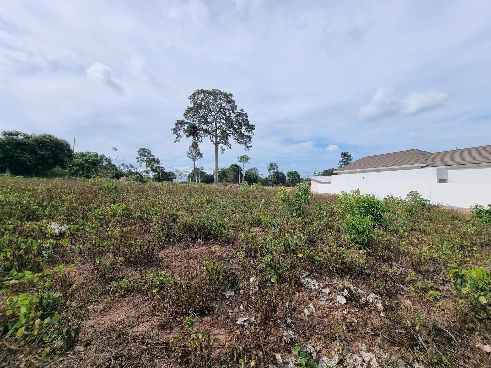 1640 sqm Bophut Koh Samui Land for Sale Near Fisherman’s Village - Bo Phut, Ko Samui, Thailand
