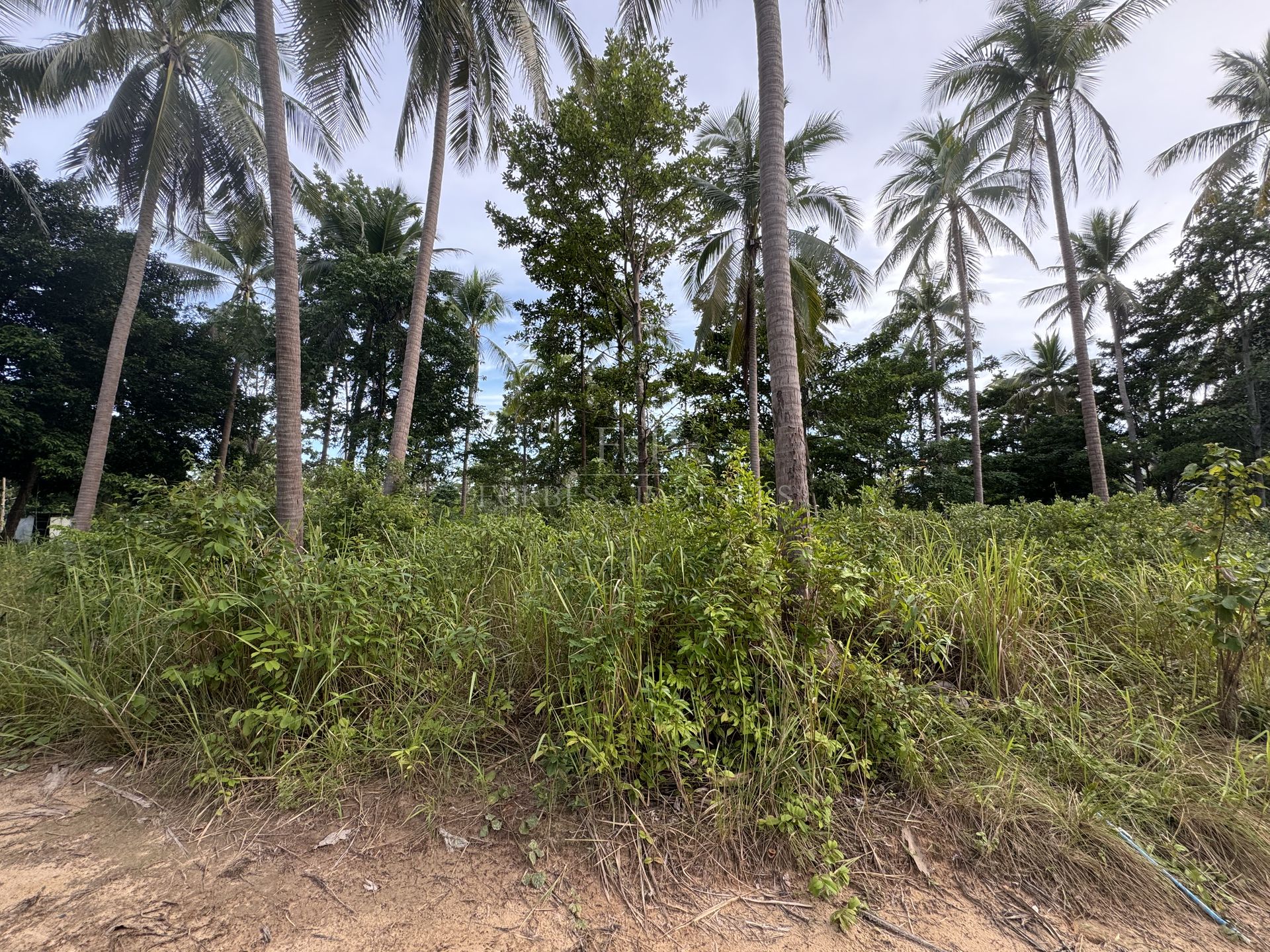 CHAWENG PRIME PLOT: 4,984 SQM IN BON KAI’S GOLDEN TRIANGLE - Chaweng, Ko Samui, Thailand
