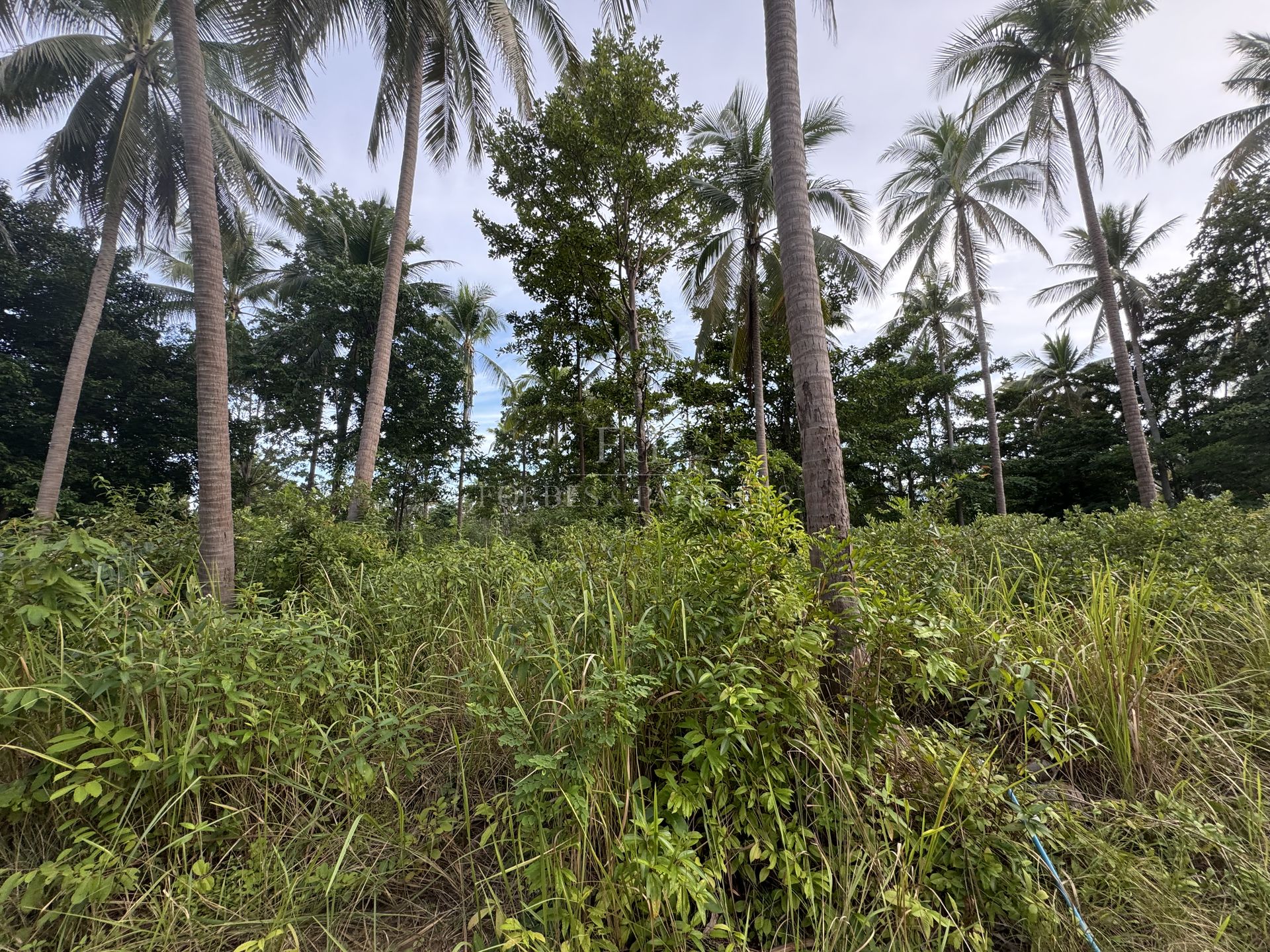 CHAWENG PRIME PLOT: 4,984 SQM IN BON KAI’S GOLDEN TRIANGLE - Chaweng, Ko Samui, Thailand