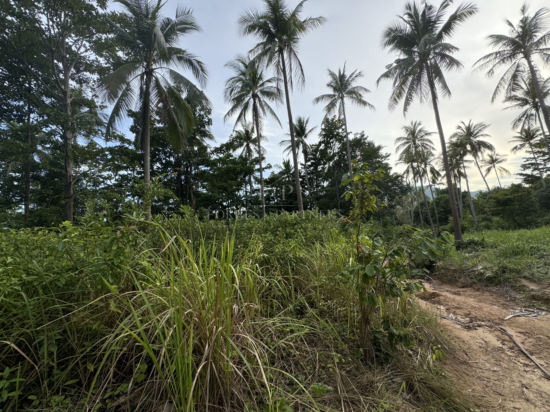 CHAWENG PRIME PLOT: 4,984 SQM IN BON KAI’S GOLDEN TRIANGLE - Chaweng, Ko Samui, Thailand