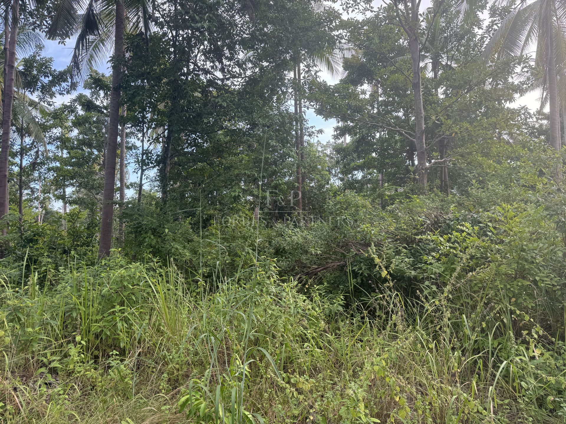 CHAWENG PRIME PLOT: 4,984 SQM IN BON KAI’S GOLDEN TRIANGLE - Chaweng, Ko Samui, Thailand
