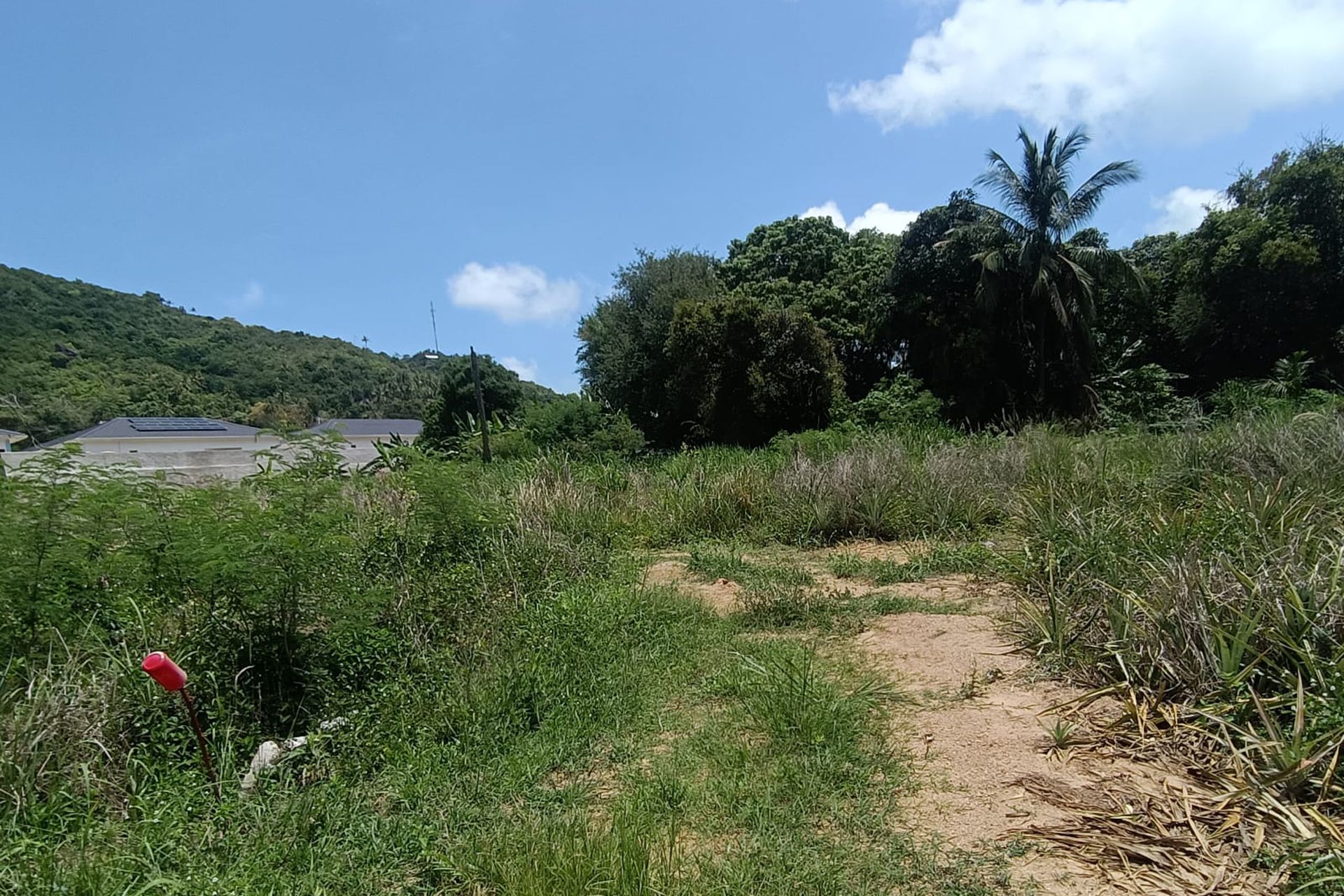 Premium 3,200 sqm Investment in Prime Location Land for Sale in Lamai, Koh Samui - Lamai, Ko Samui, Thailand