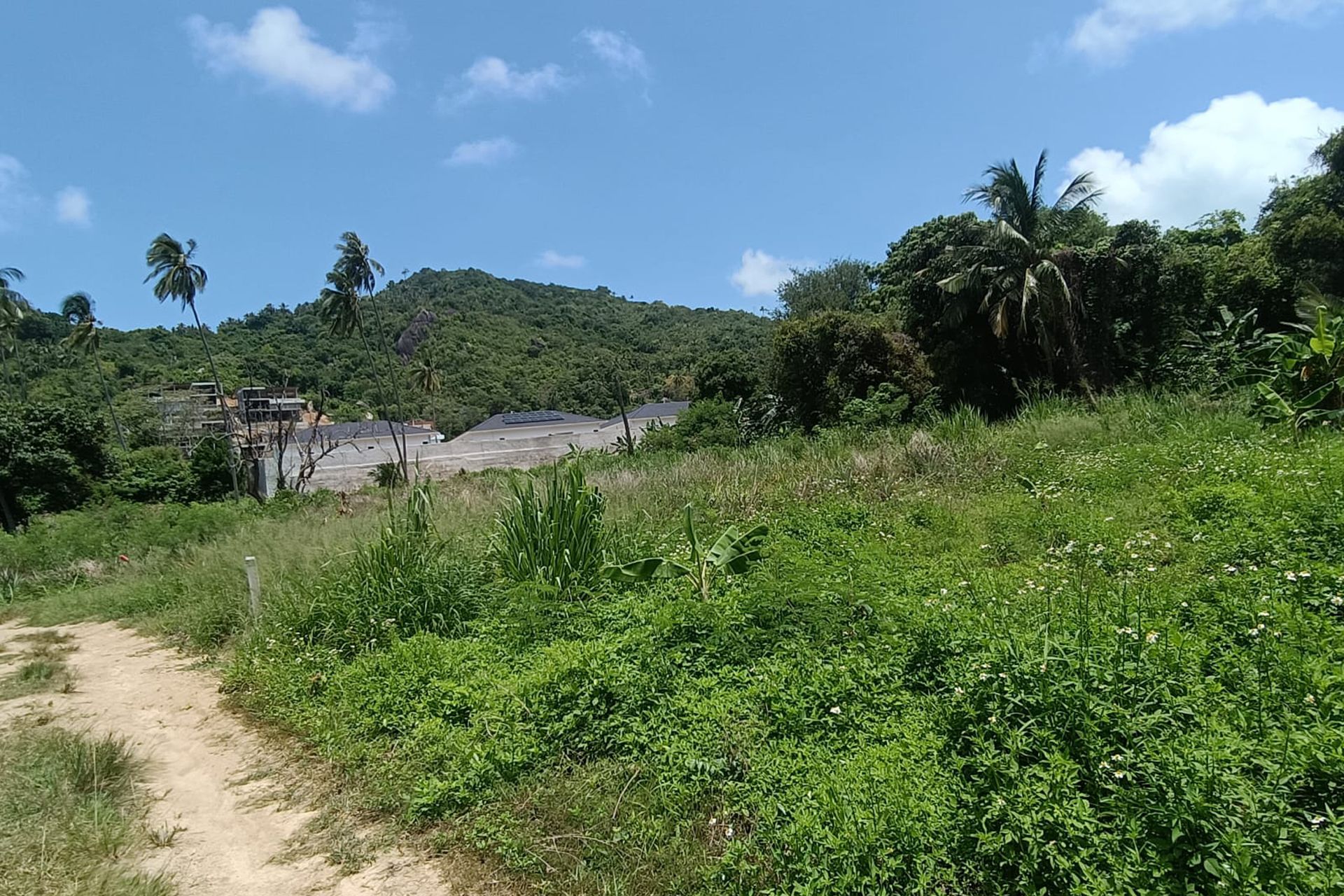 Premium 3,200 sqm Investment in Prime Location Land for Sale in Lamai, Koh Samui - Lamai, Ko Samui, Thailand