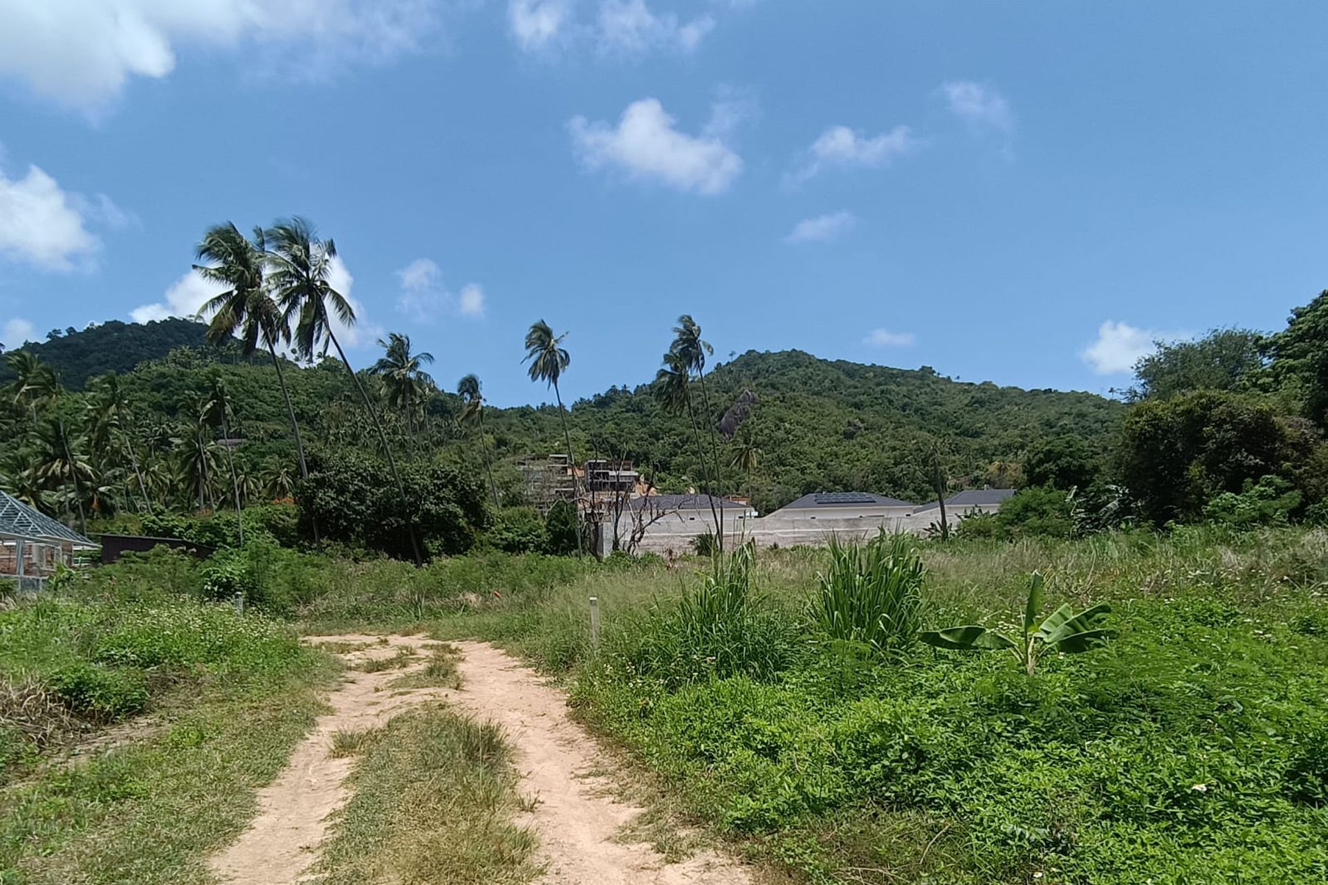 Premium 3,200 sqm Investment in Prime Location Land for Sale in Lamai, Koh Samui - Lamai, Ko Samui, Thailand
