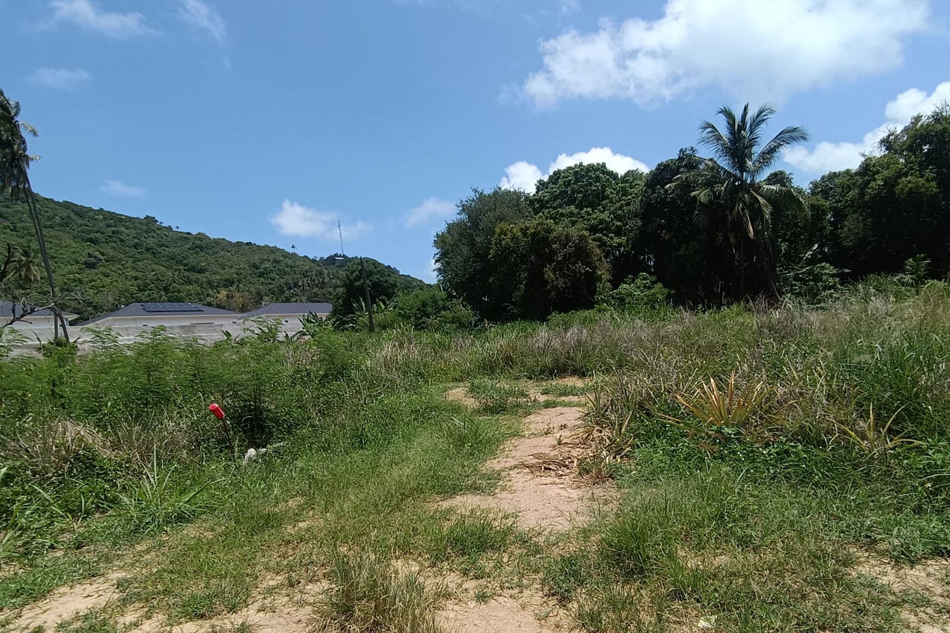 Premium 3,200 sqm Investment in Prime Location Land for Sale in Lamai, Koh Samui - Lamai, Ko Samui, Thailand