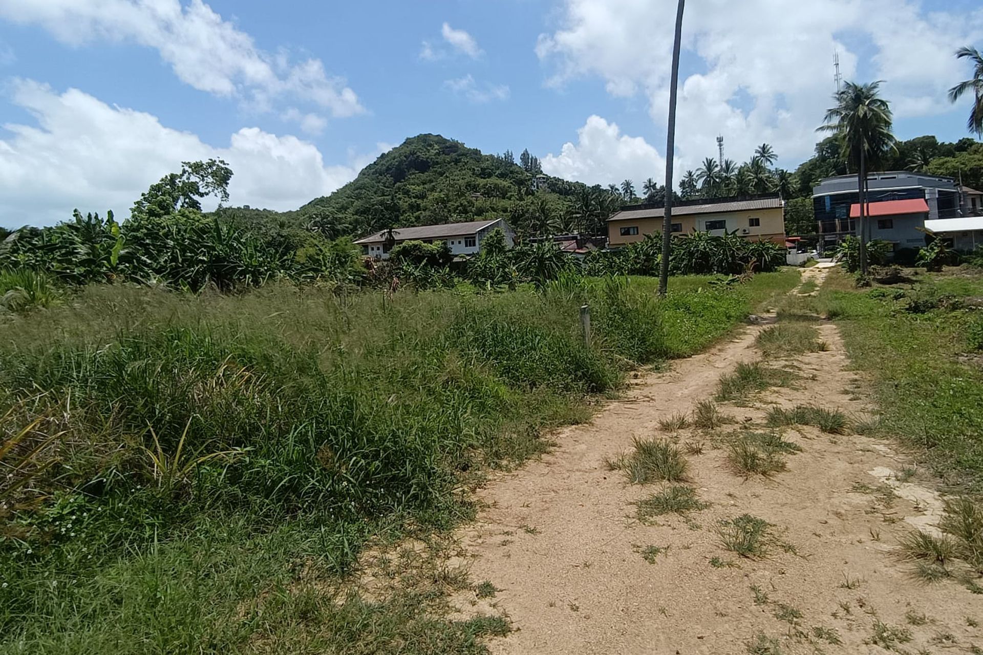 Premium 3,200 sqm Investment in Prime Location Land for Sale in Lamai, Koh Samui - Lamai, Ko Samui, Thailand