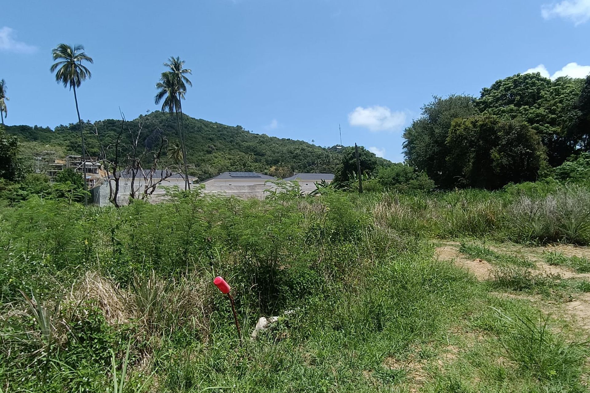 Premium 3,200 sqm Investment in Prime Location Land for Sale in Lamai, Koh Samui - Lamai, Ko Samui, Thailand