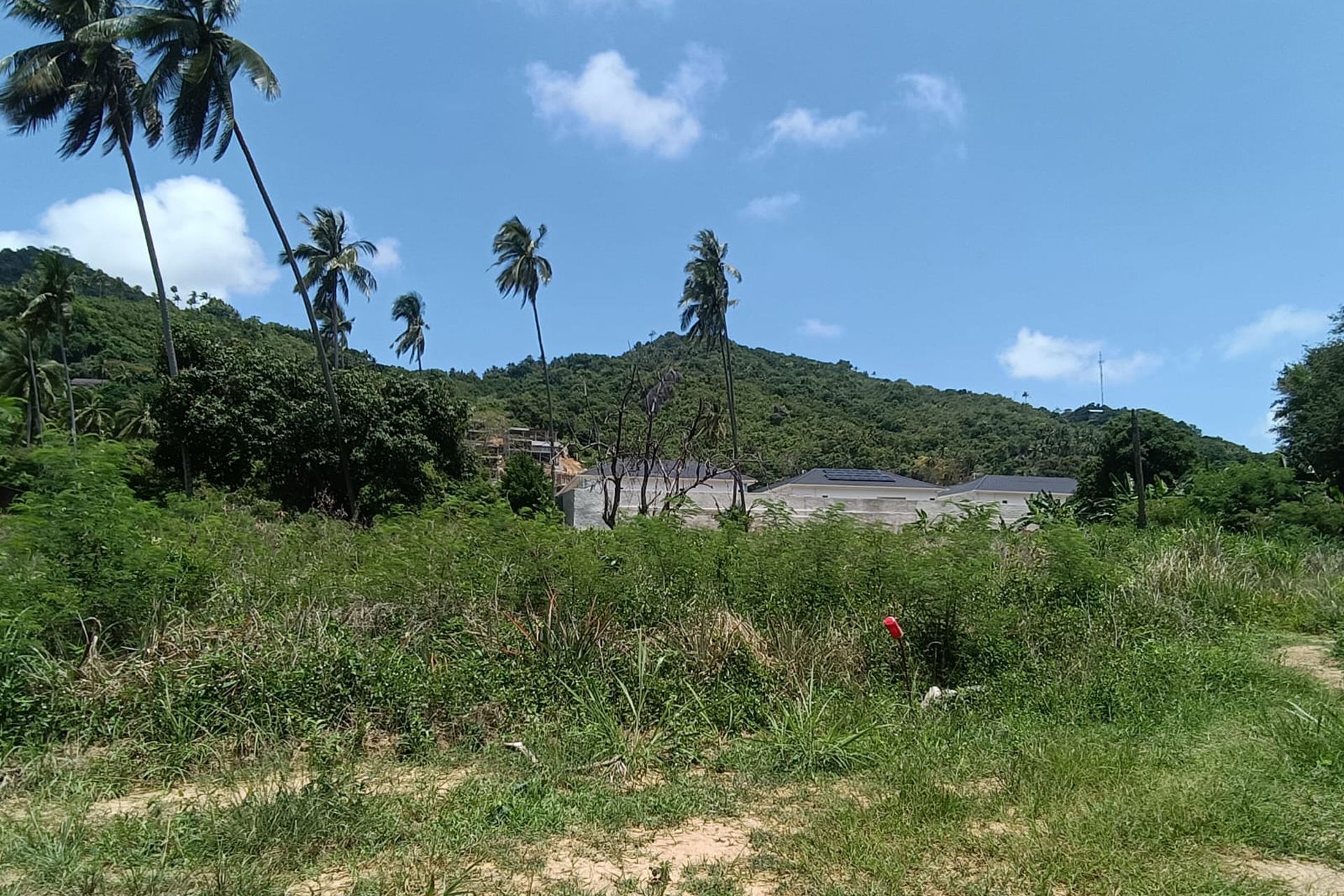 Premium 3,200 sqm Investment in Prime Location Land for Sale in Lamai, Koh Samui - Lamai, Ko Samui, Thailand
