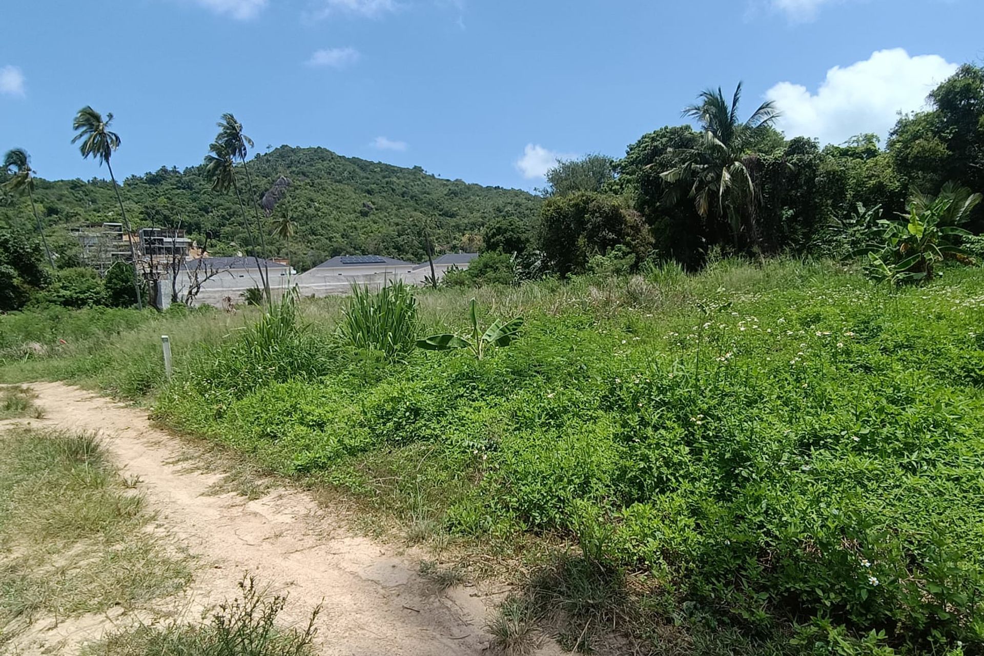 Premium 3,200 sqm Investment in Prime Location Land for Sale in Lamai, Koh Samui - Lamai, Ko Samui, Thailand