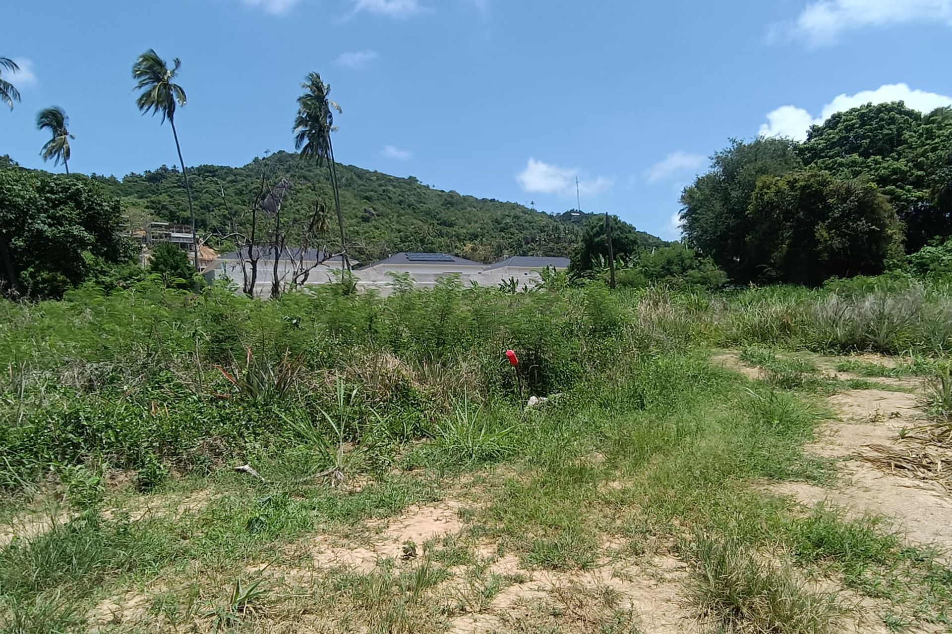 Premium 3,200 sqm Investment in Prime Location Land for Sale in Lamai, Koh Samui - Lamai, Ko Samui, Thailand
