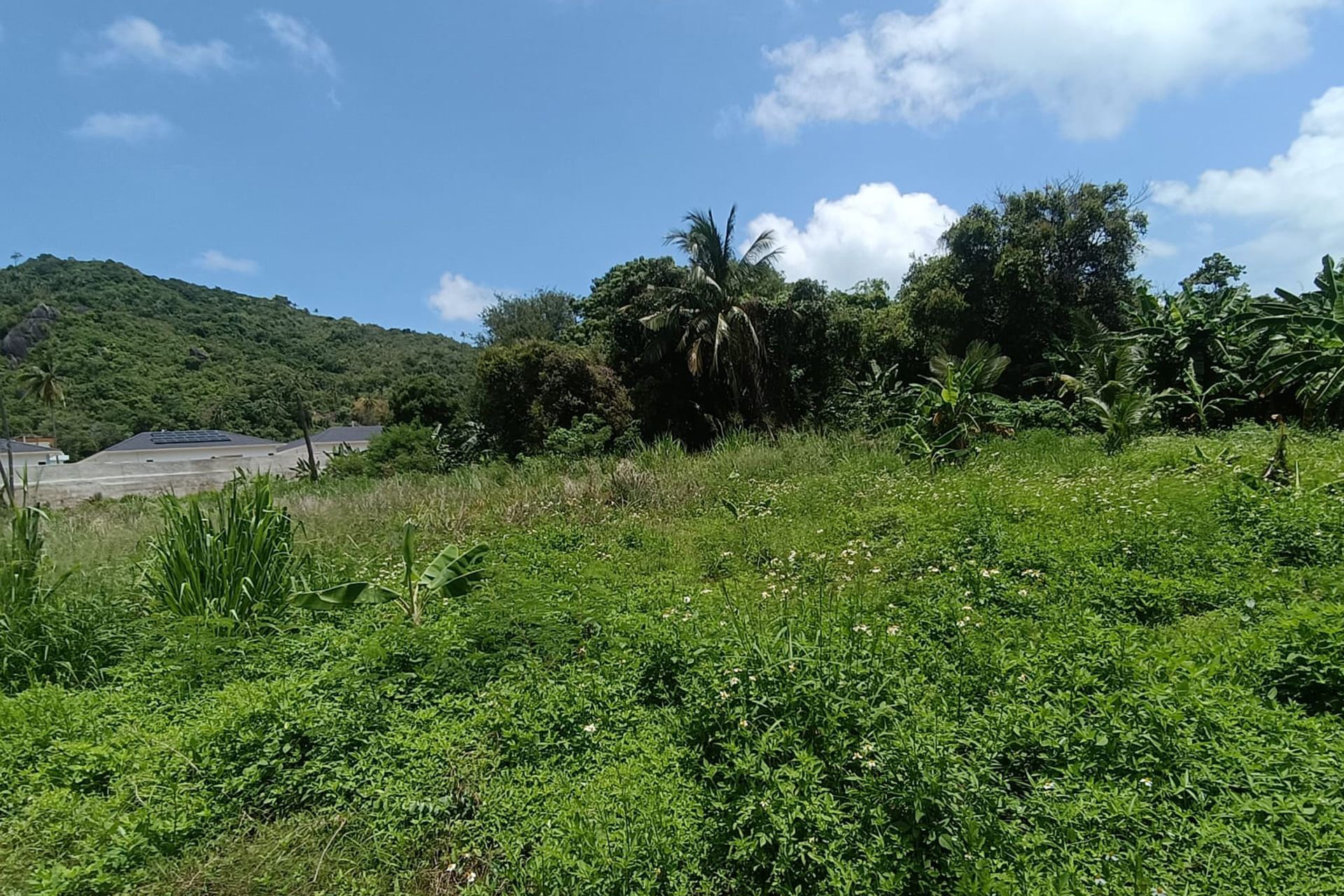 Premium 3,200 sqm Investment in Prime Location Land for Sale in Lamai, Koh Samui - Lamai, Ko Samui, Thailand