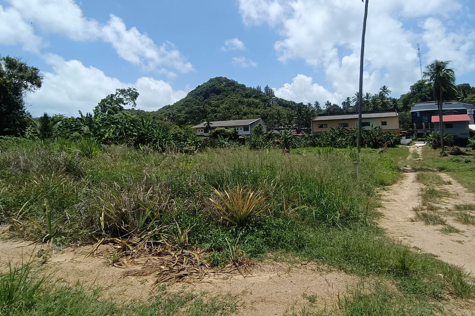 Premium 3,200 sqm Investment in Prime Location Land for Sale in Lamai, Koh Samui - Lamai, Ko Samui, Thailand