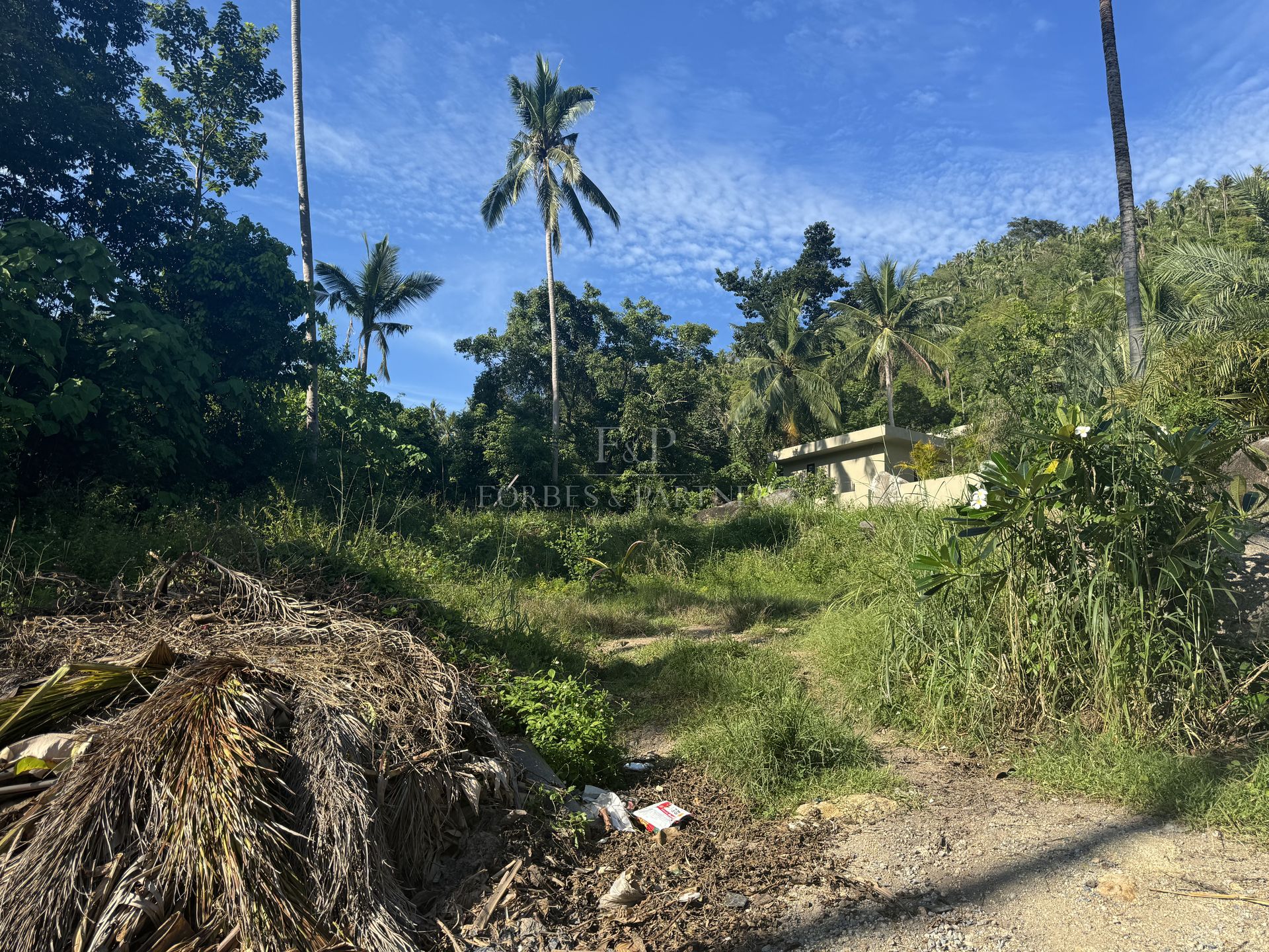Strategic 800 SQM Prime Land Plot with Infrastructure Access in Central Lamai Location - Lamai, Ko Samui, Thailand