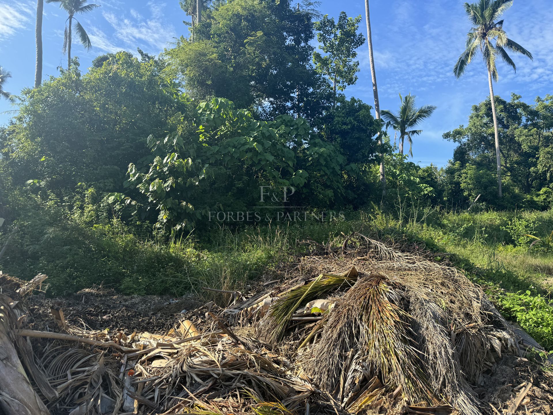 Strategic 800 SQM Prime Land Plot with Infrastructure Access in Central Lamai Location - Lamai, Ko Samui, Thailand