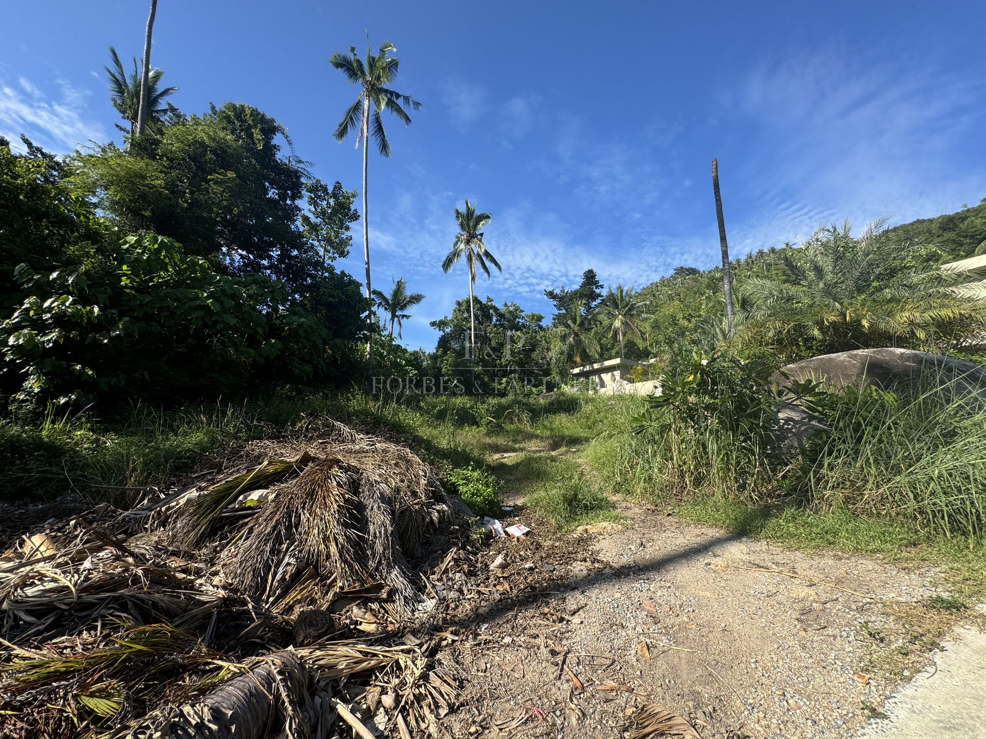 Strategic 800 SQM Prime Land Plot with Infrastructure Access in Central Lamai Location - Lamai, Ko Samui, Thailand