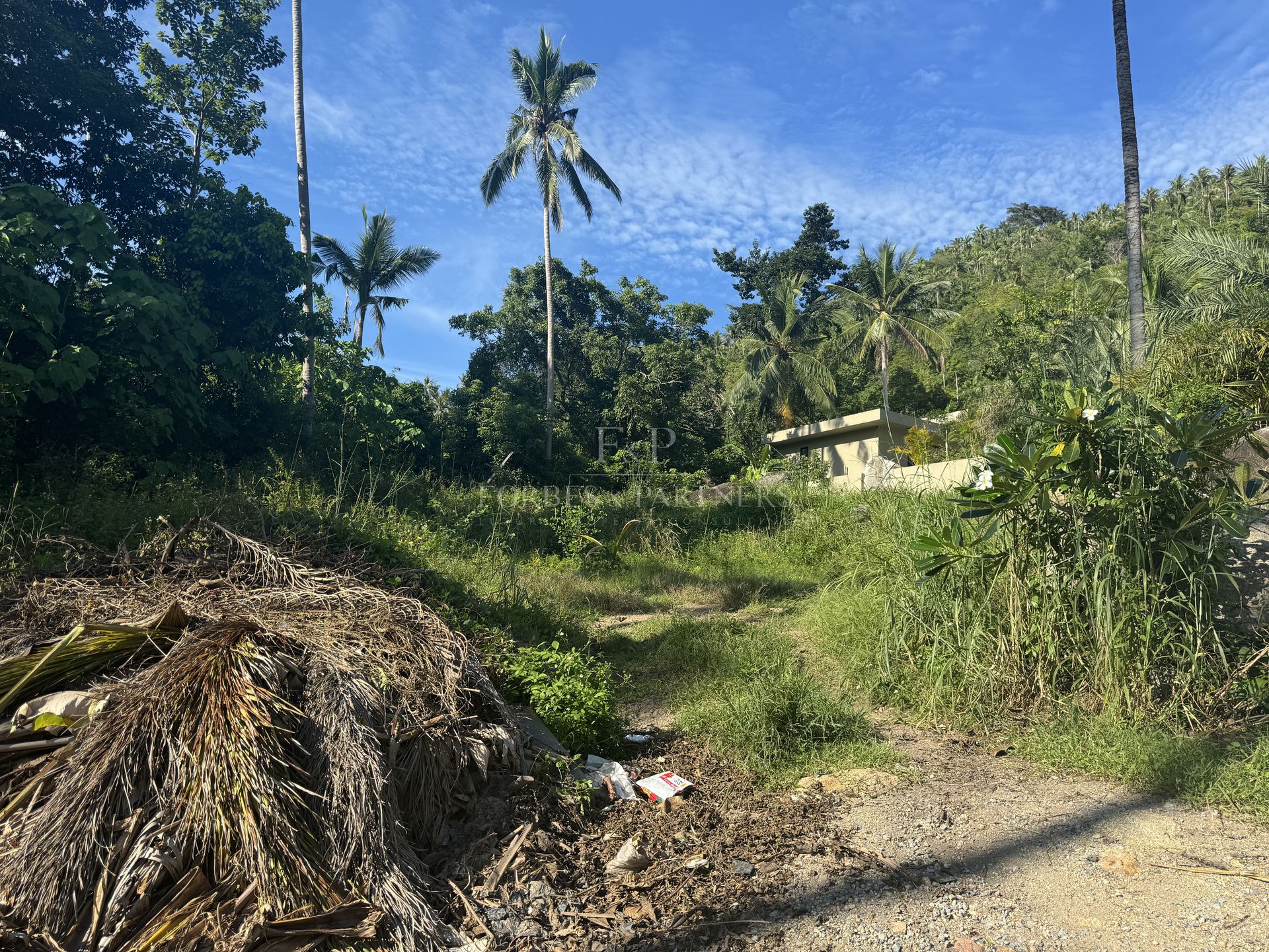 Strategic 800 SQM Prime Land Plot with Infrastructure Access in Central Lamai Location - Lamai, Ko Samui, Thailand