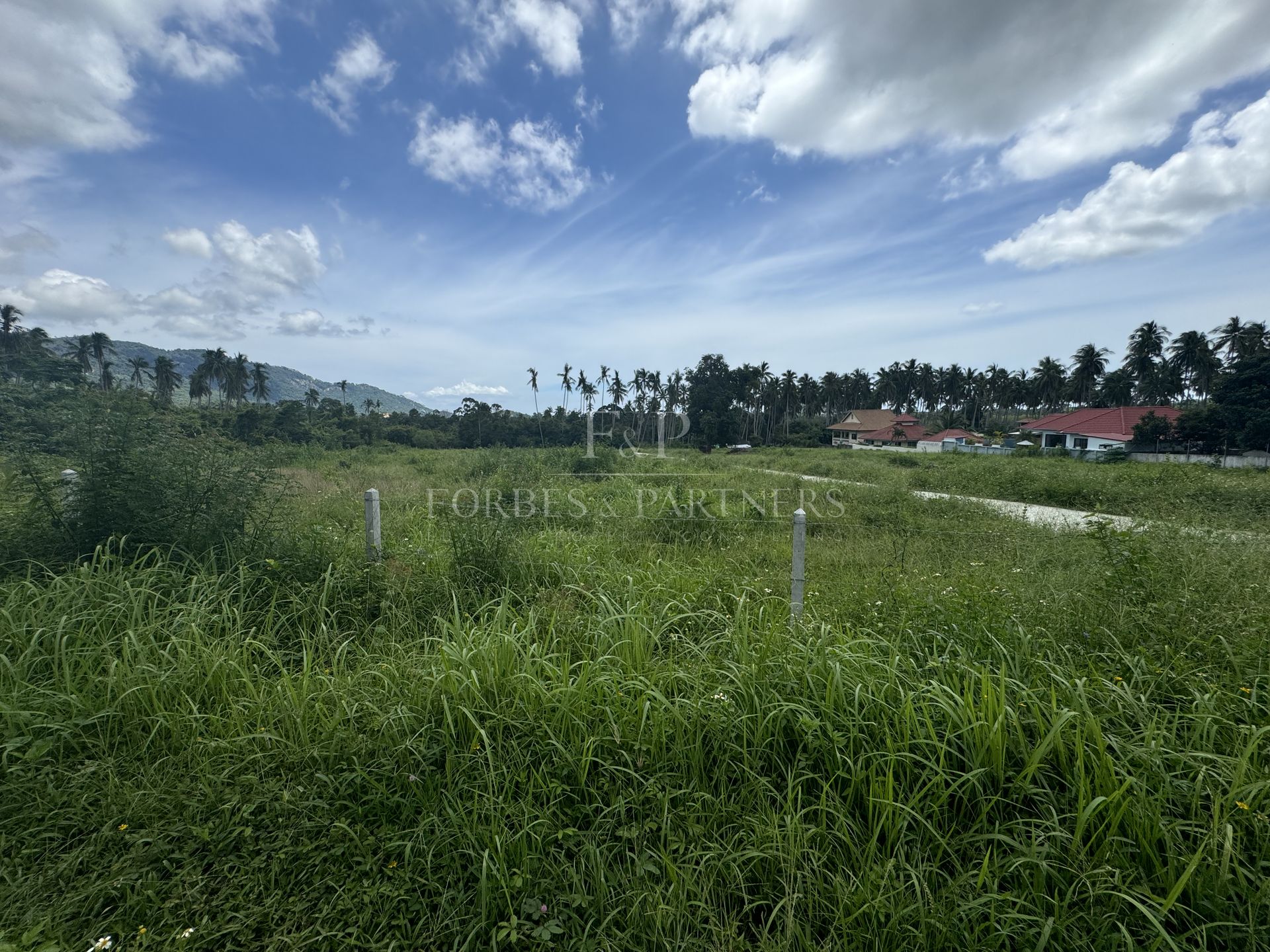 Strategic Investment Parcels Near Lat Wanon Waterfall - Lipa Noi, Ko Samui, Thailand