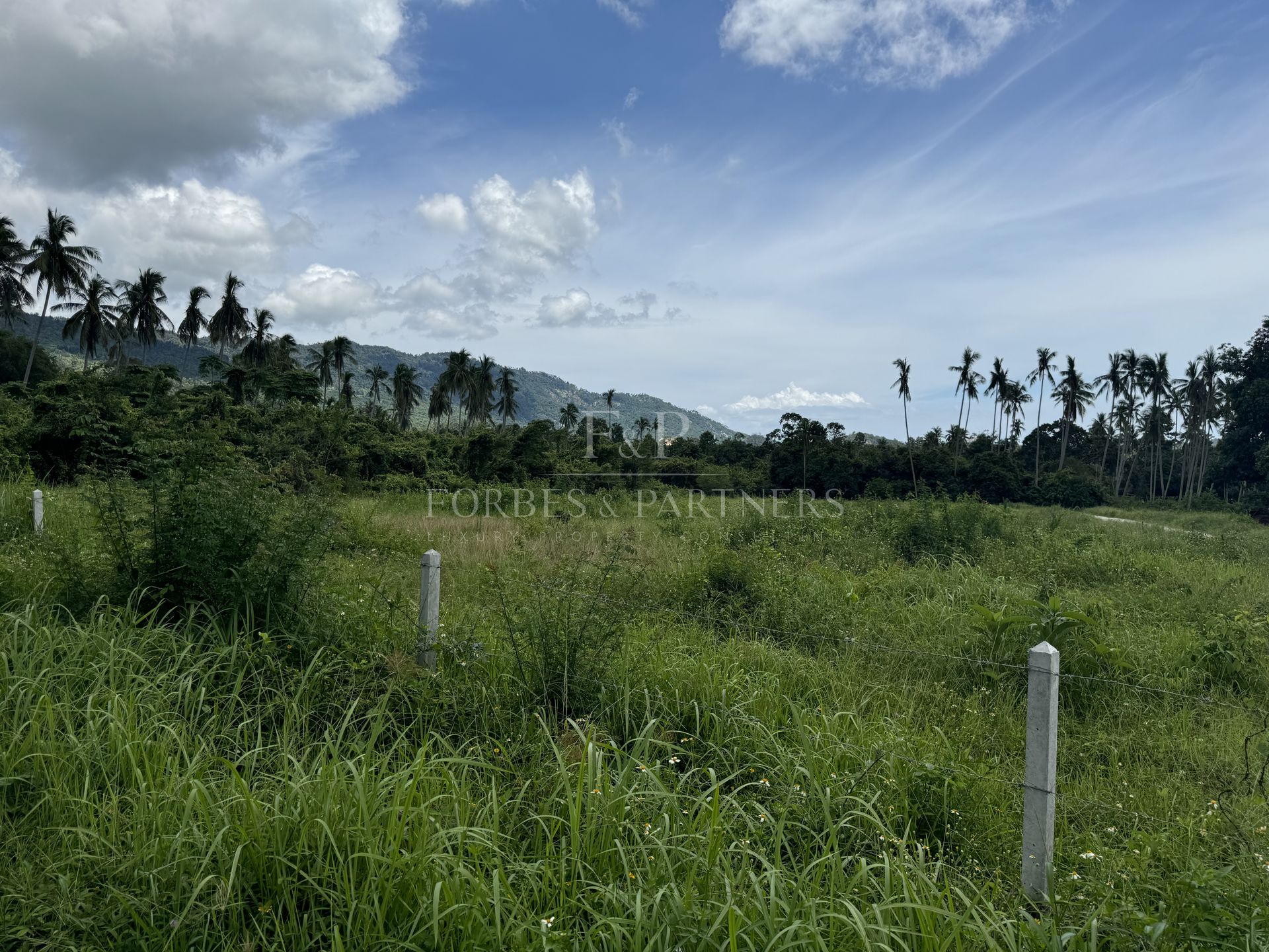 Strategic Investment Parcels Near Lat Wanon Waterfall - Lipa Noi, Ko Samui, Thailand