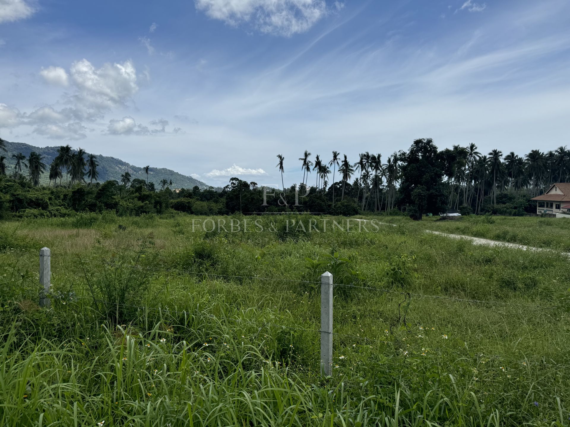 Strategic Investment Parcels Near Lat Wanon Waterfall - Lipa Noi, Ko Samui, Thailand